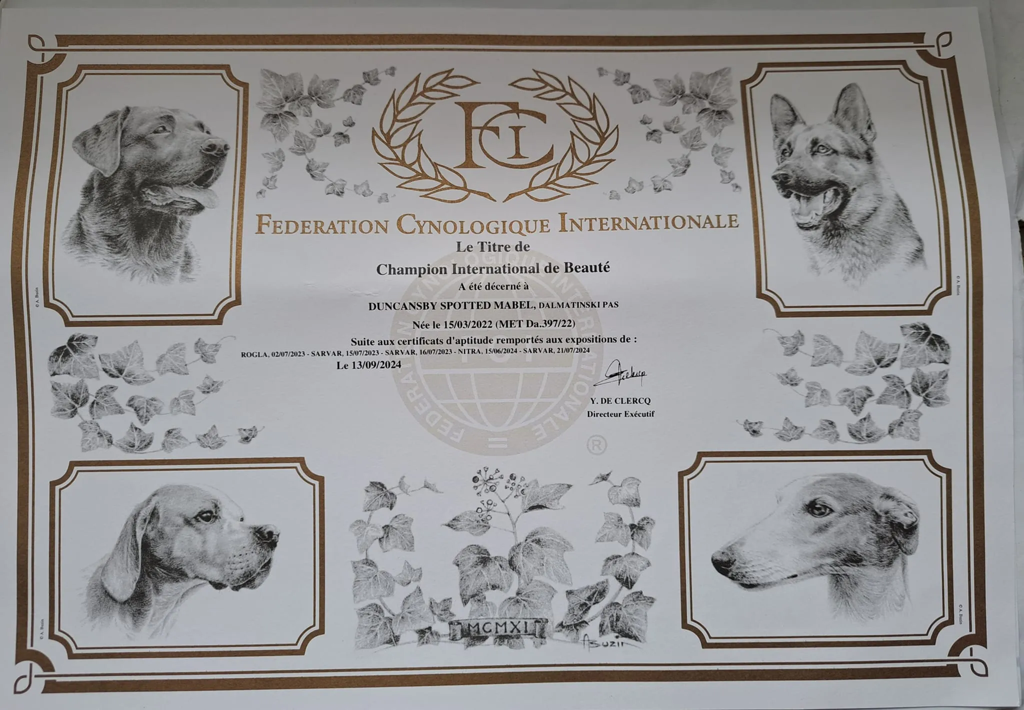 Duncansby Spotted Mabel hivatalosan is interchampion!