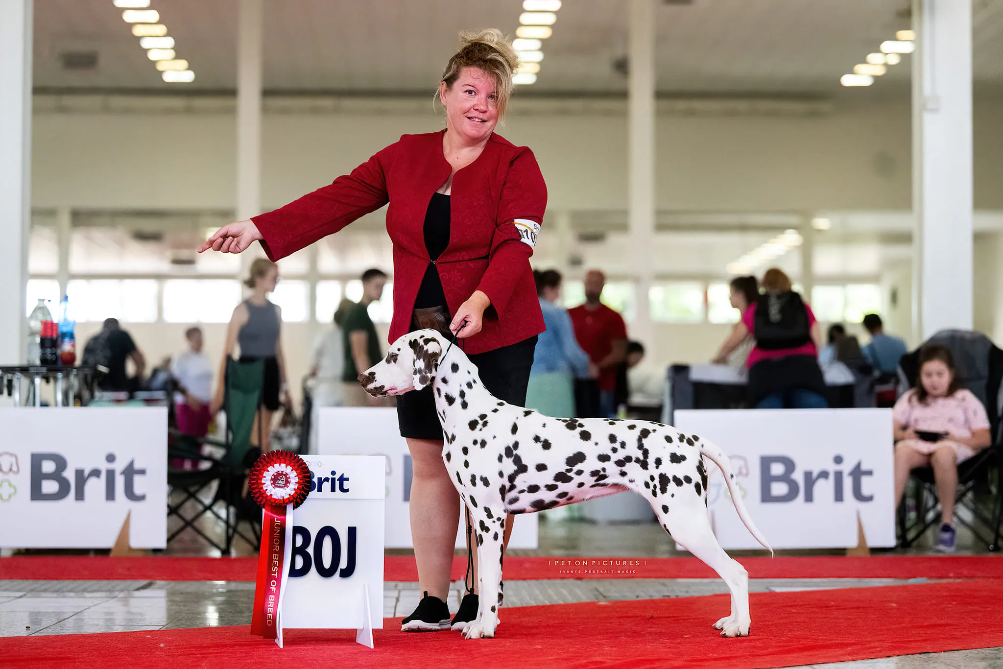 Most màr hivatalos, junior interchampion!