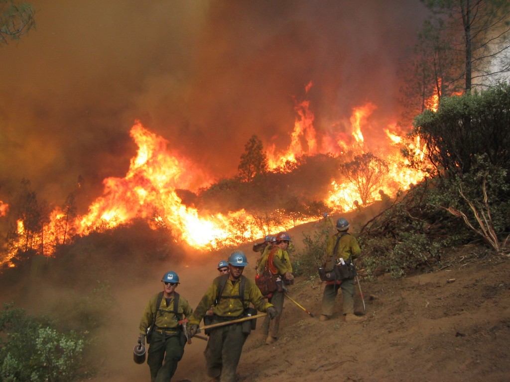 ورشة عمل - حرائق الغابات