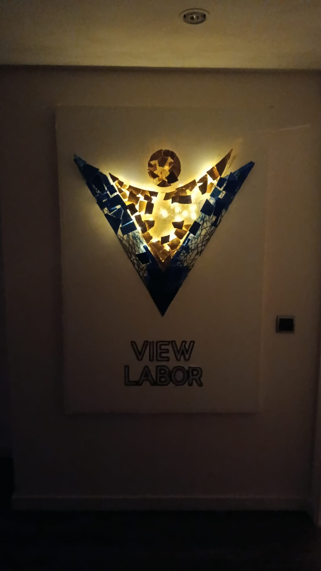 View Labor