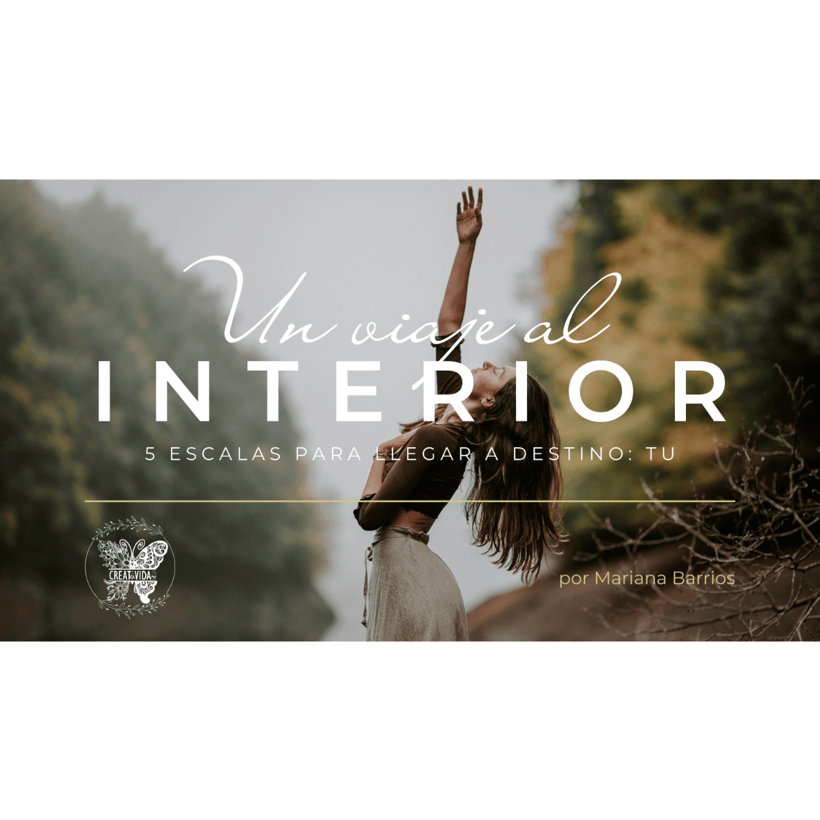 Un viaje al interior