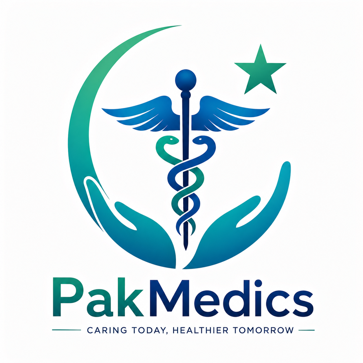PakNet Logo