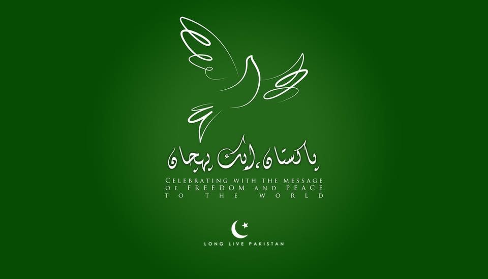 PAK Network Cover