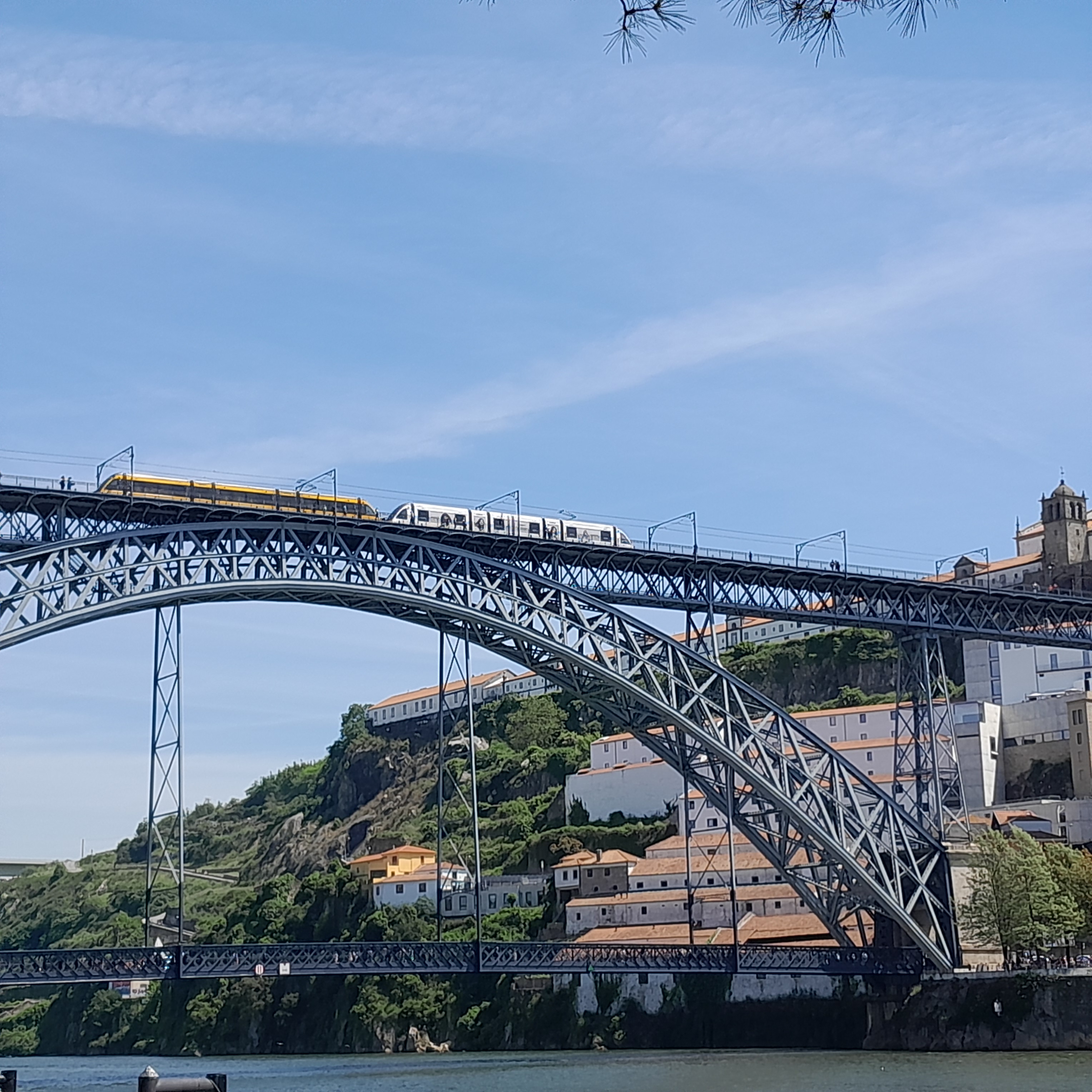Estudantes de Educação Básica exploram a Cidade Invicta em Visita Cultural