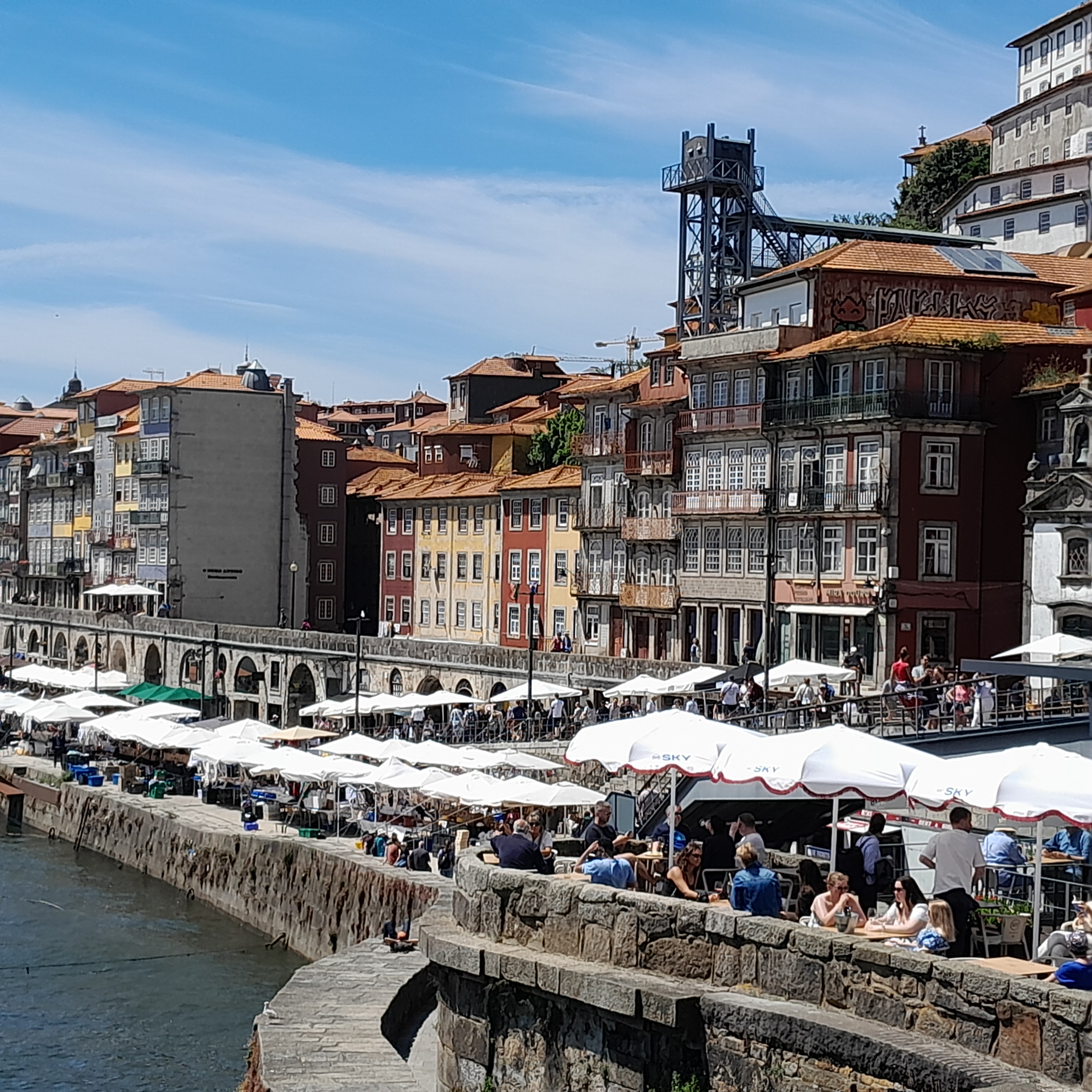 Estudantes de Educação Básica exploram a Cidade Invicta em Visita Cultural