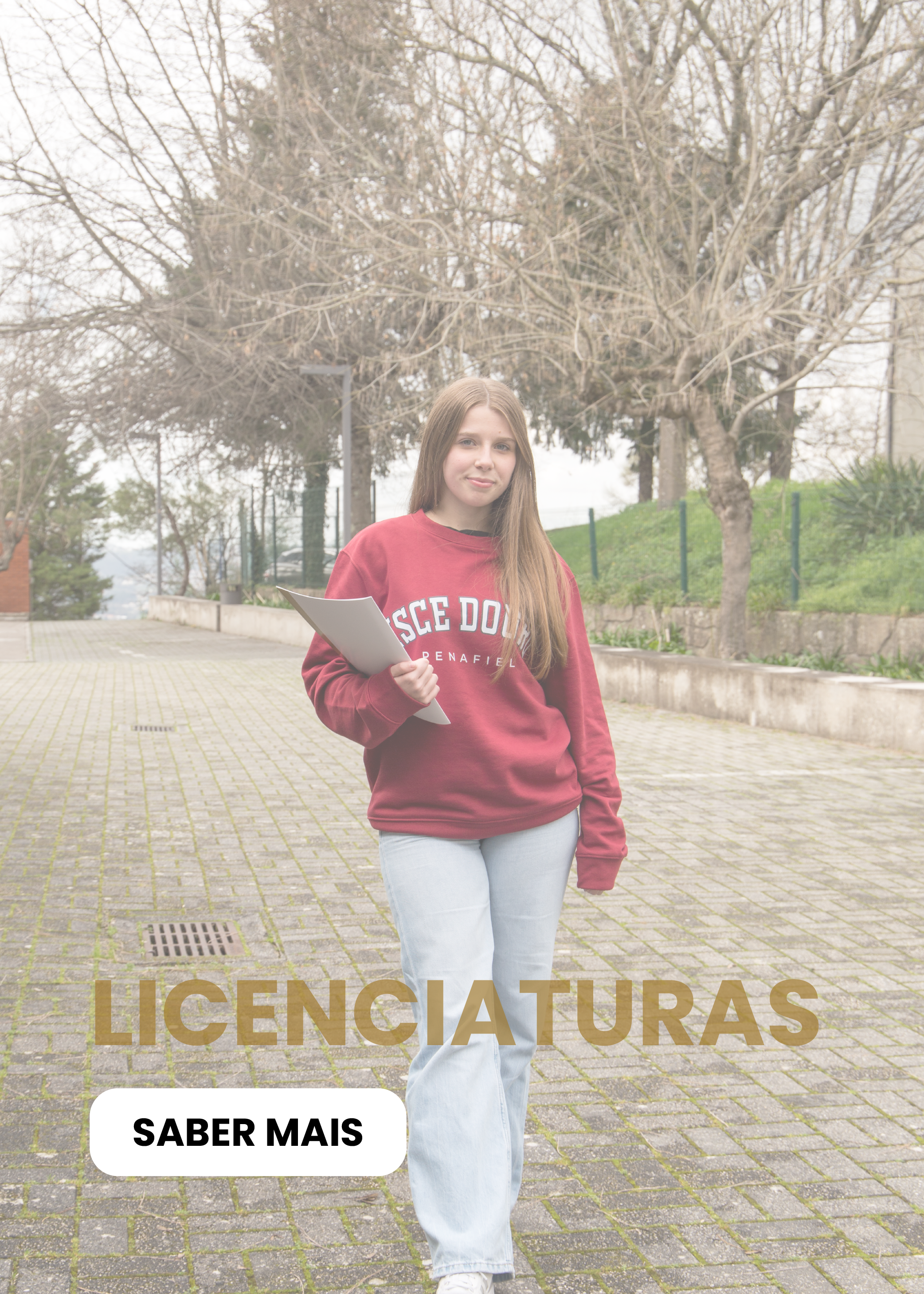 Licenciaturas