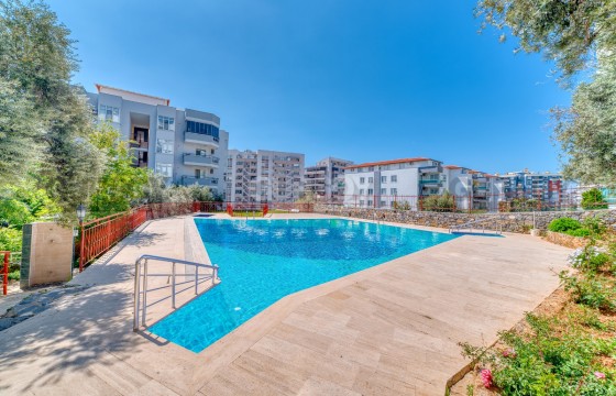 Меблированная 1+1 в Тосмуре — готова к проживанию, 81 000 € в Турции - фото 2