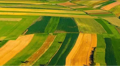 Wydzierżawię Grunty Rolne  - zdjęcie 2