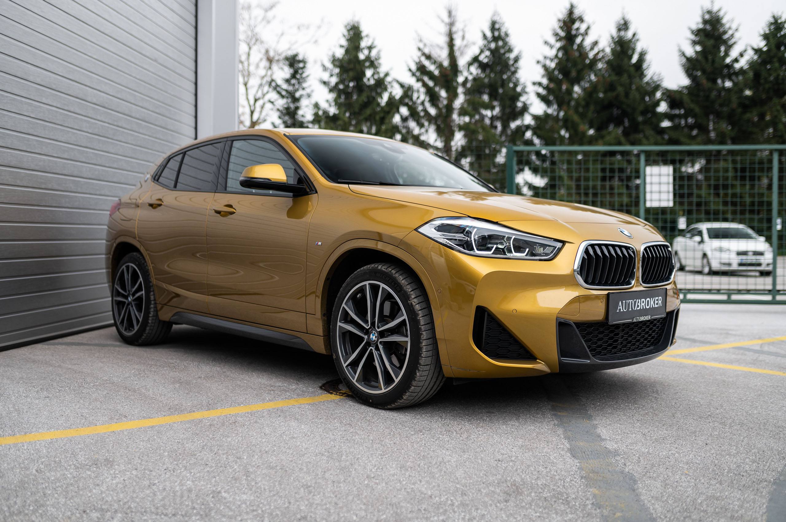 BMW X2