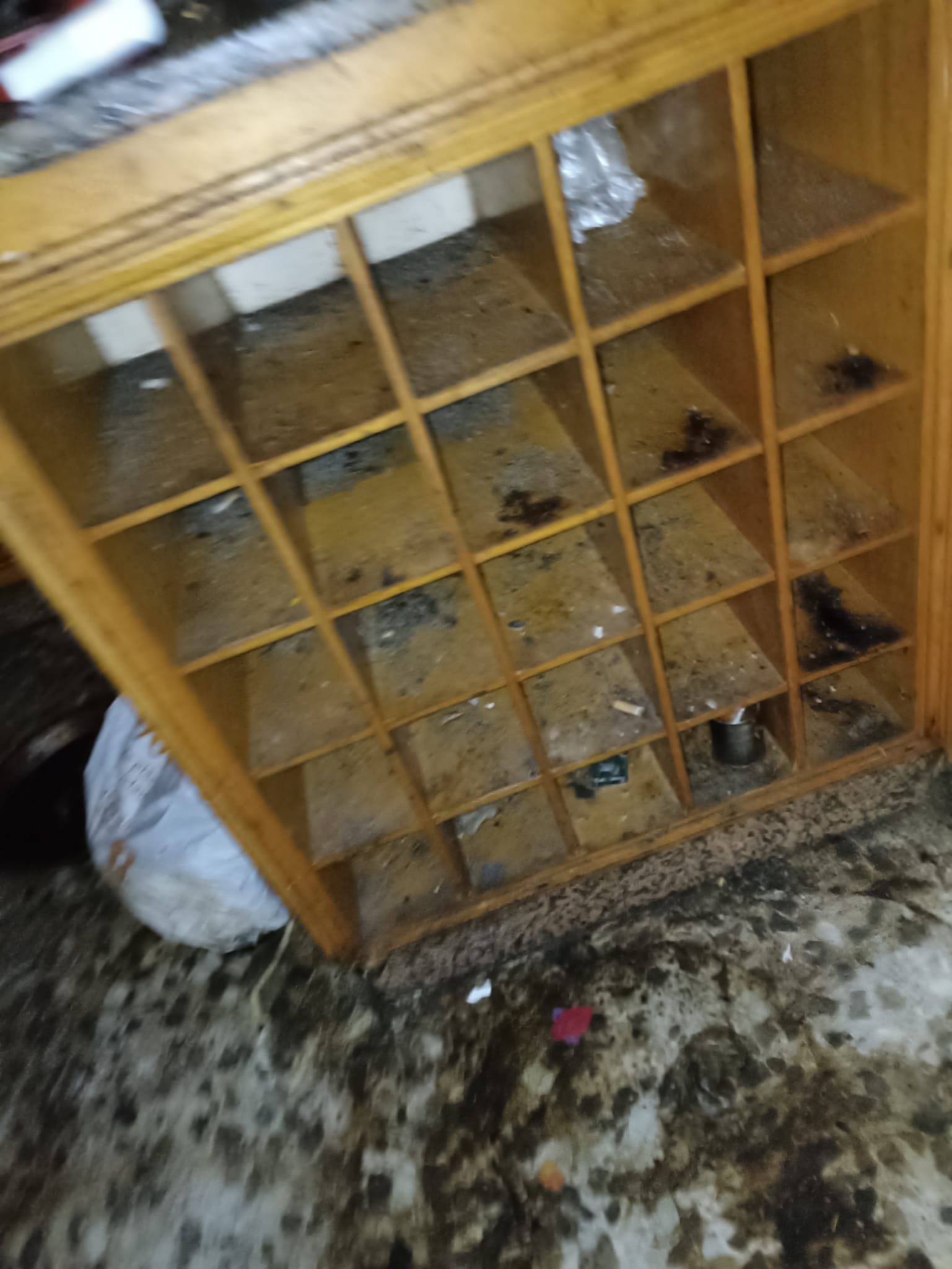 Recogida y reciclaje de muebles, electrodomésticos y basura en Sant Pere de Ribes - ¡Presupuestos asequibles!