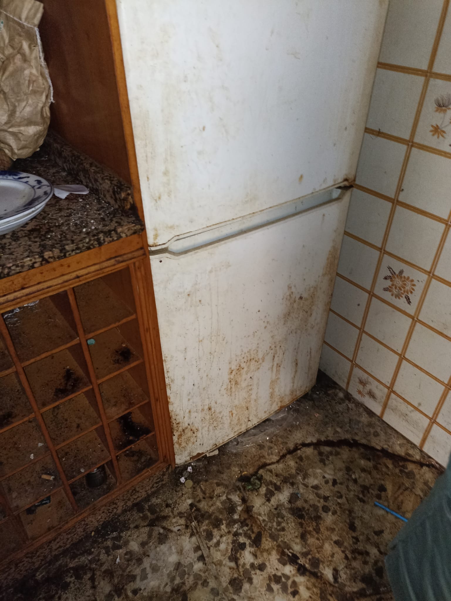 Servicio de recogida y reciclaje de muebles, electrodomésticos, basura y chatarra en Moià - ¡Tu hogar como nuevo!