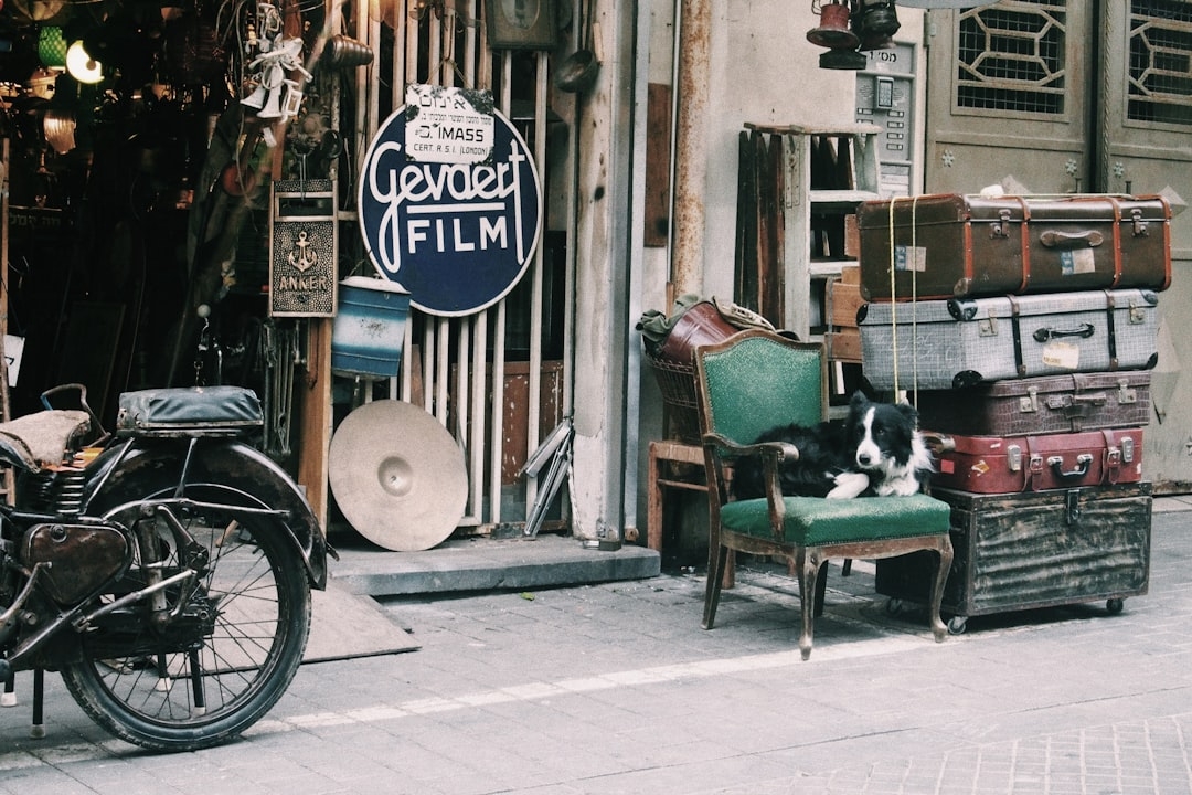 ¿Precisa un servicio para vaciar su casa, piso o establecimiento?