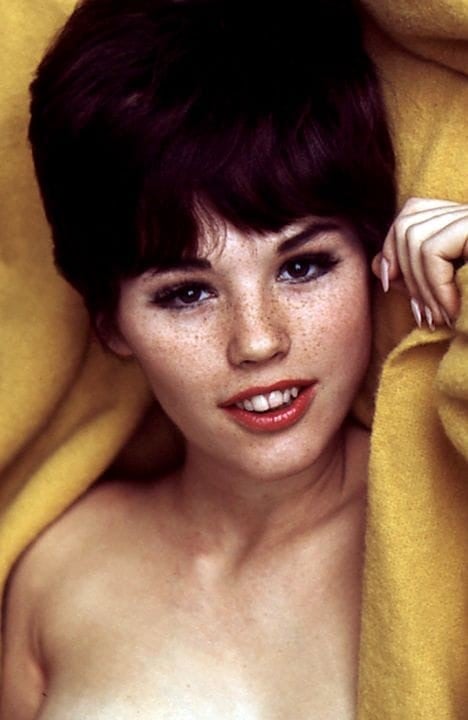 Dianne Chandler