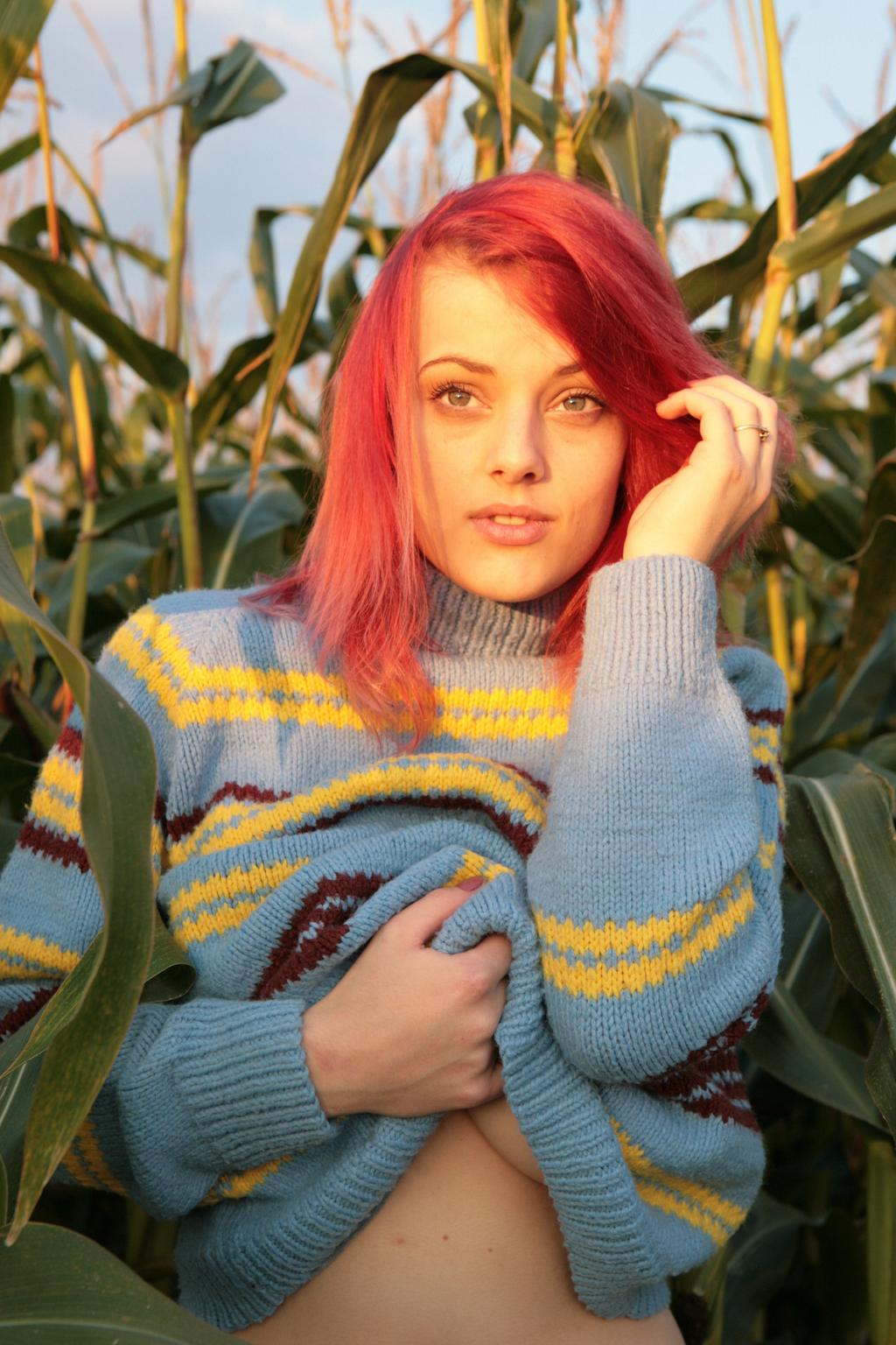 Lottii Rose