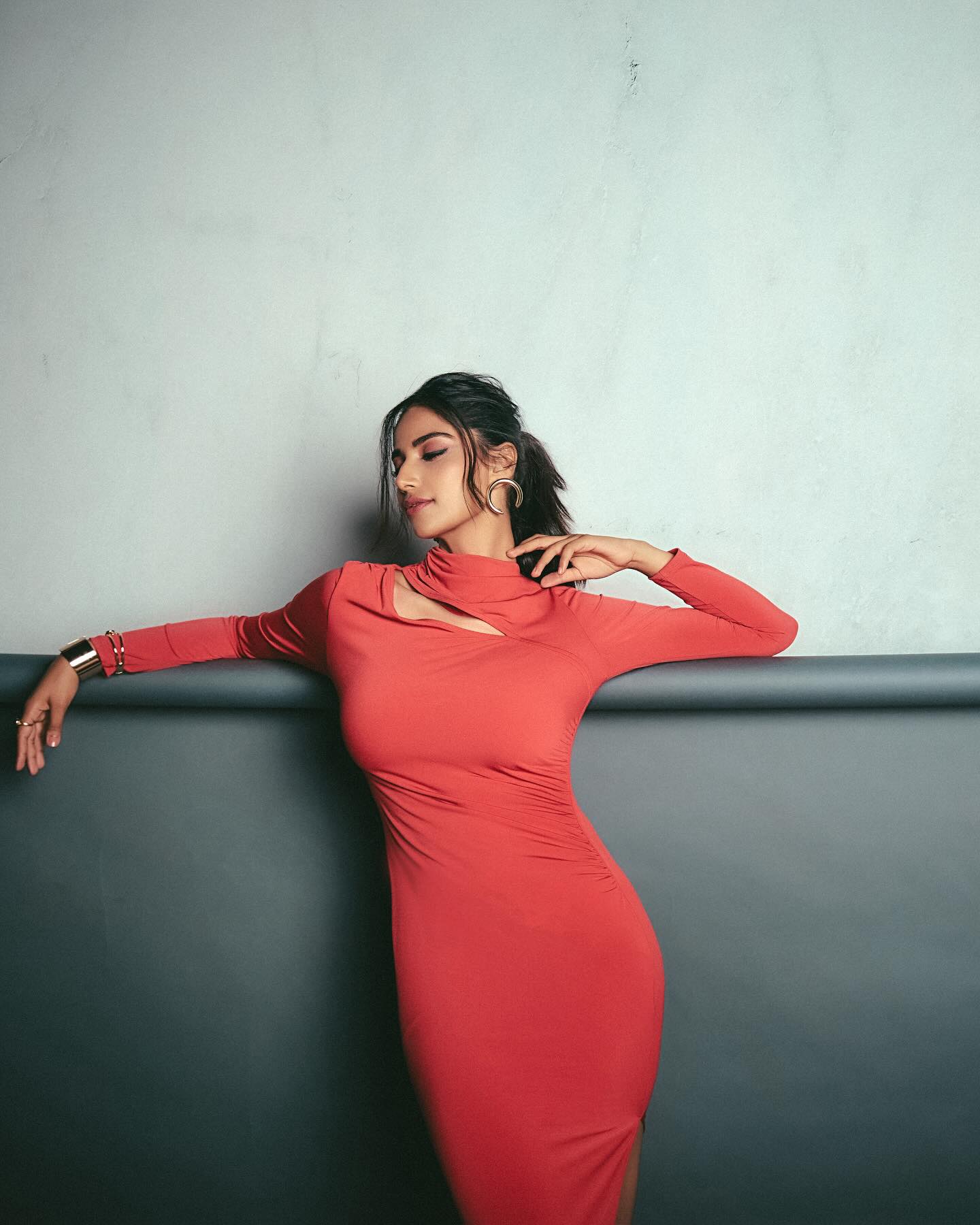 Meenakshi Chaudhary