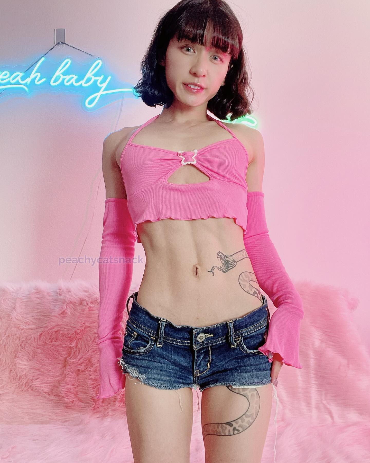 Peachy Catsnack