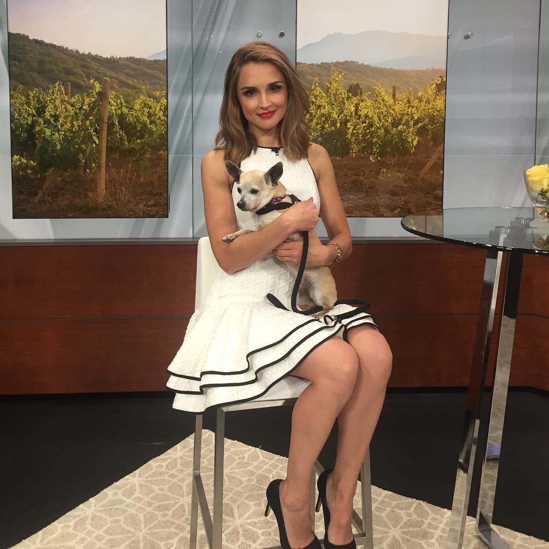 Rachael Leigh Cook