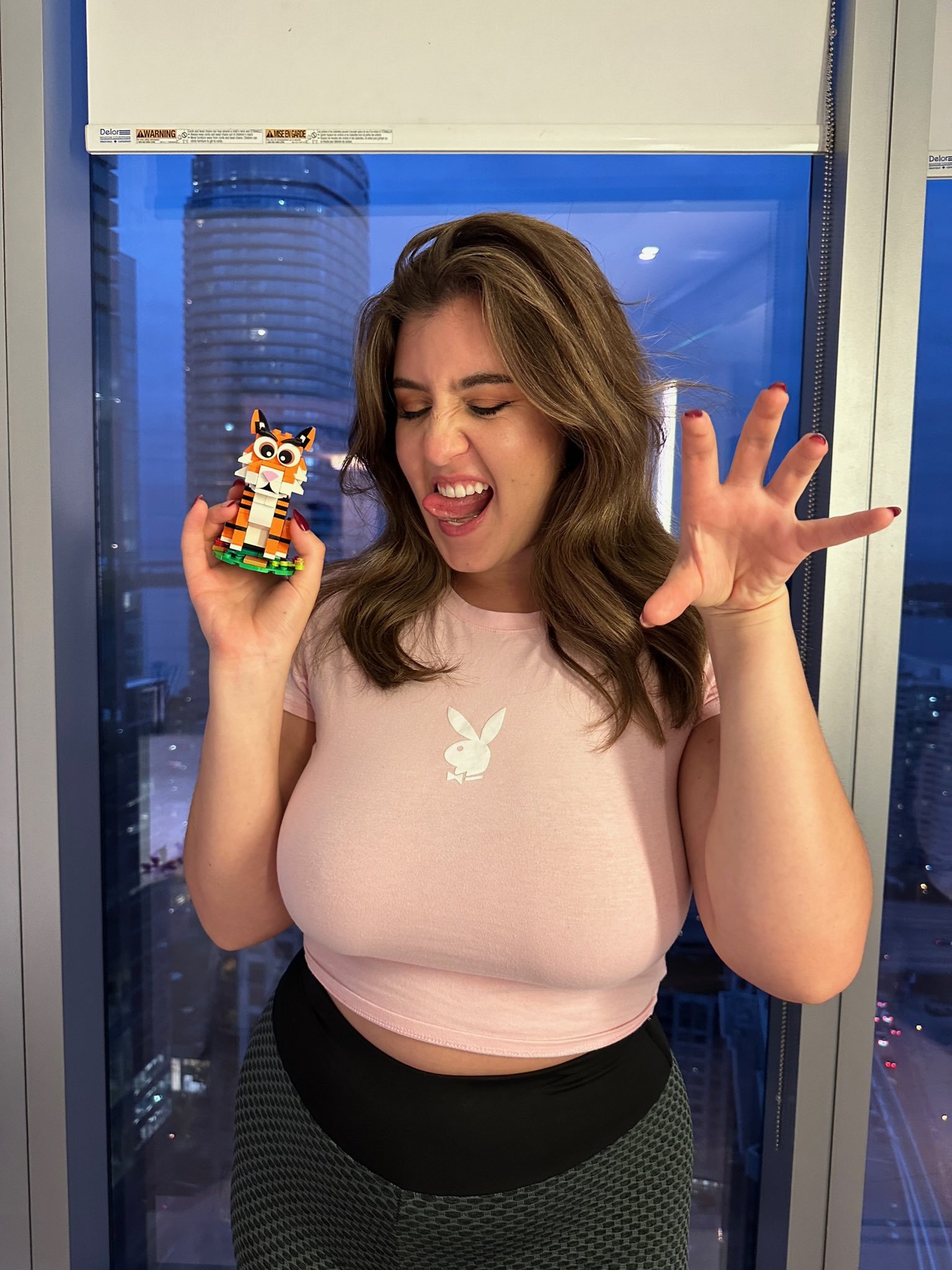 The Lego Mommy