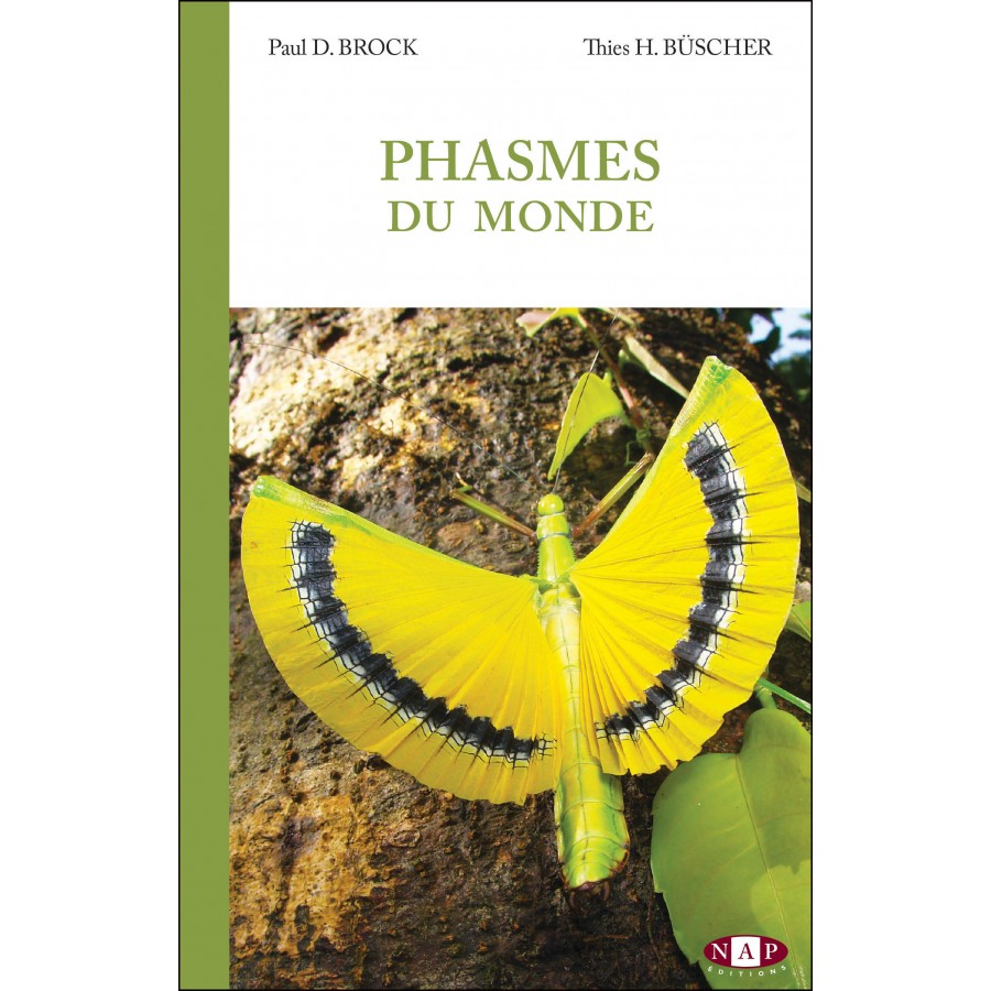 Paul D. Brock, Thies H. Büscher: Phasmes du Monde (Hardcover, 2022, N.A.P)
