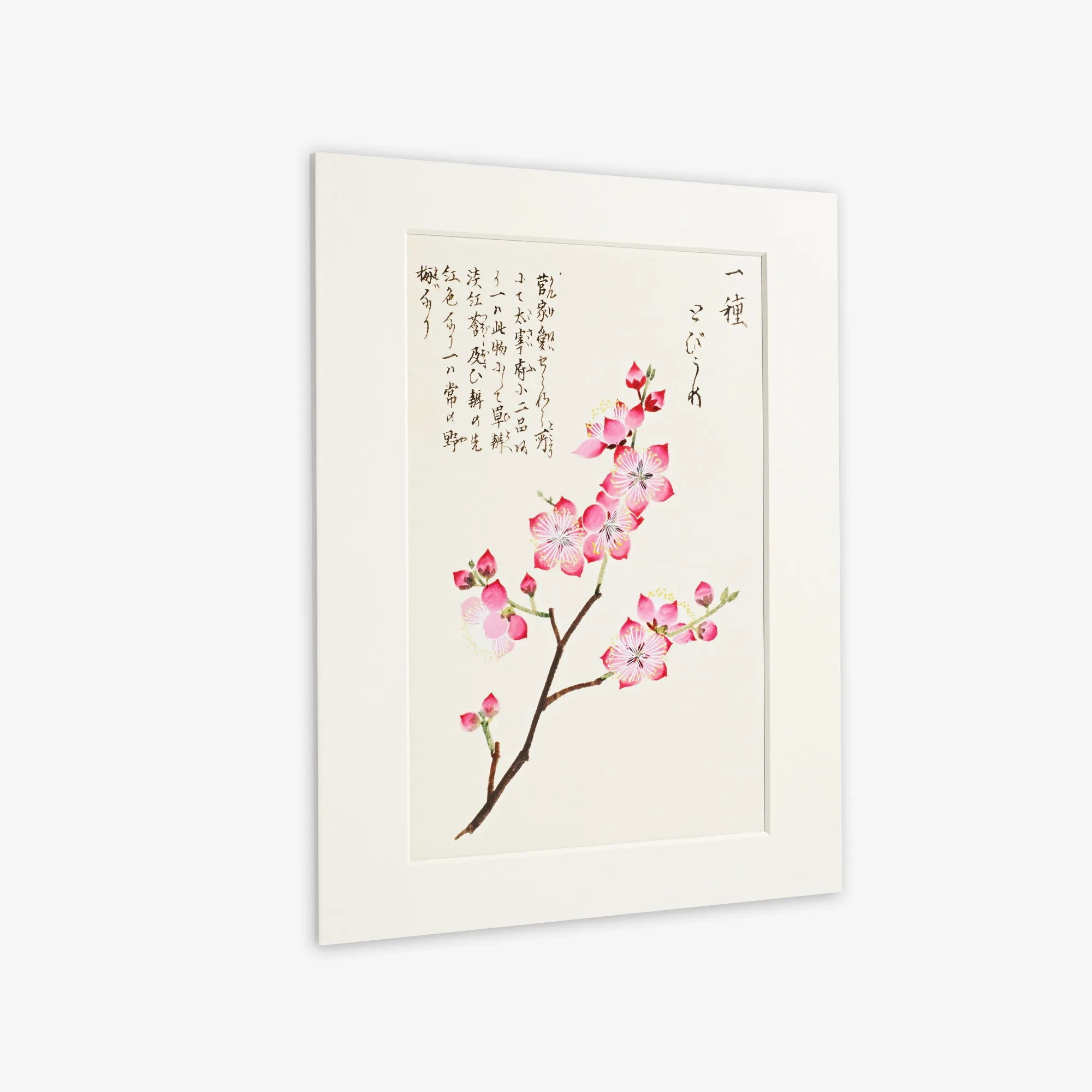 Mounted Prints - online printing service in Ormiston