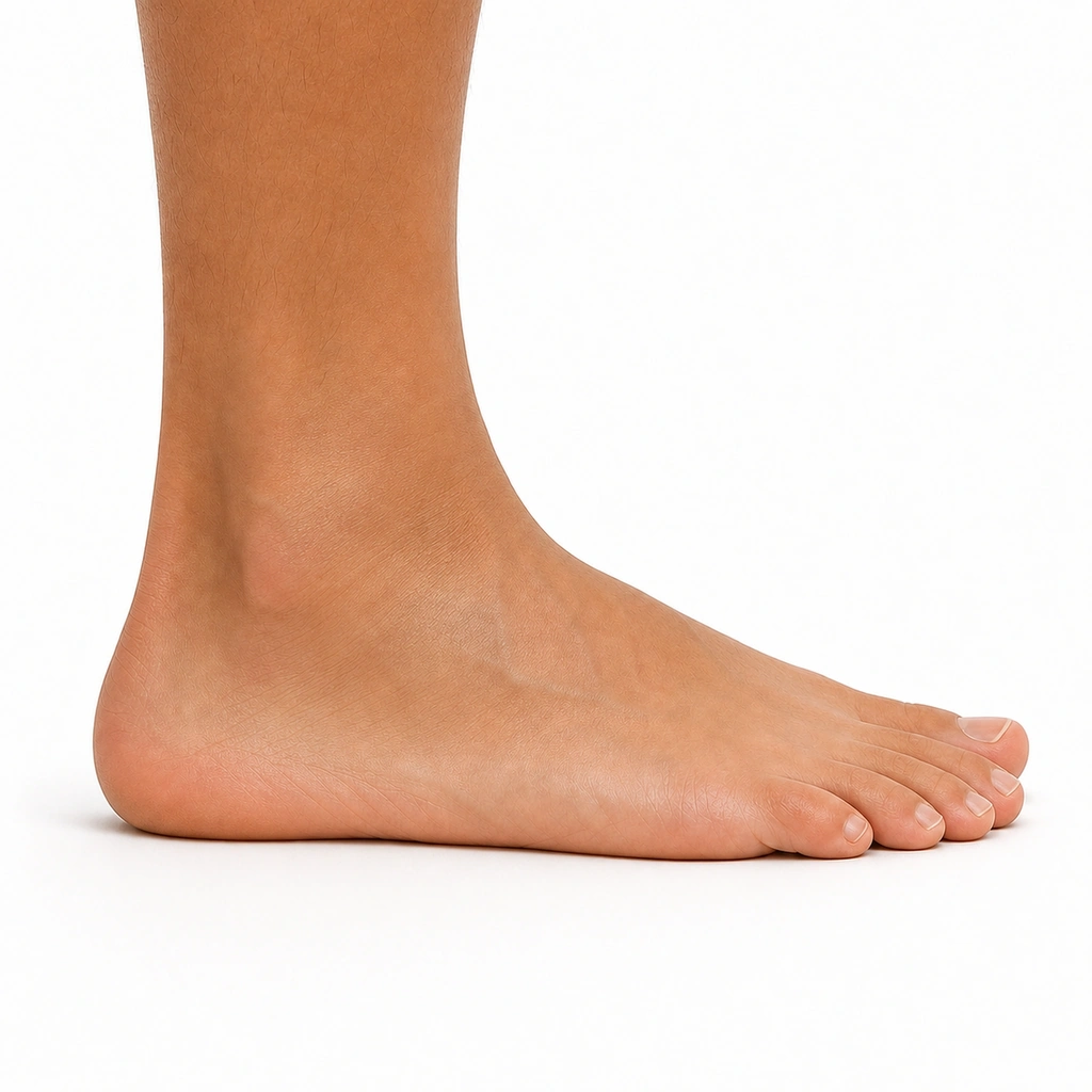 Doming with Heel Down - Step 6 of 6: Release while keeping heel down