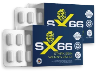 SX66