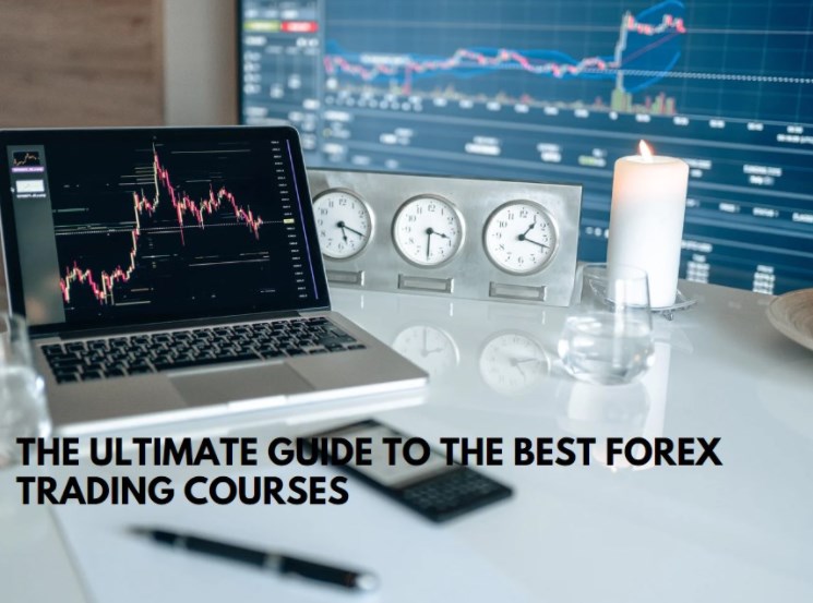 The Ultimate Guide to the Best Forex Trading Courses - BrokersView