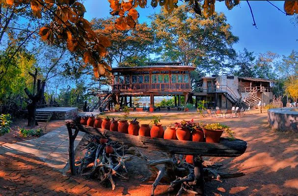 Discover Nature’s Haven at Tendu Leaf Jungle Resort and Panna National Park Resorts | by Mp forests | Oct, 2023 | Medium