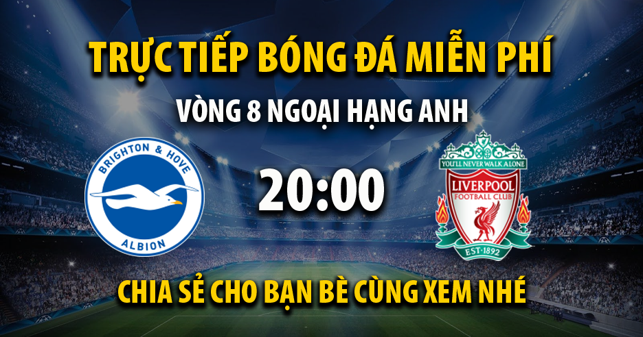 Trực tiếp Brighton vs Liverpool full lúc 20:00, ngày 08/10