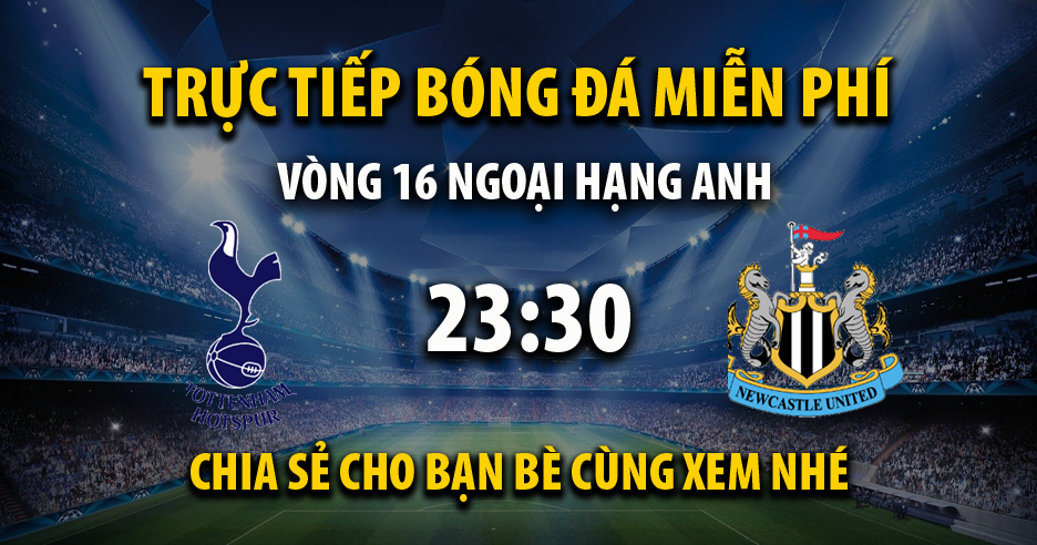 Link trực tiếp Tottenham vs Newcastle United 23:30, ngày 10/12 - Xoilac365.live