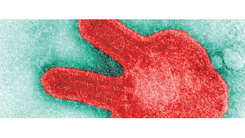 තවත් මාරාන්තික වයිරසයක්