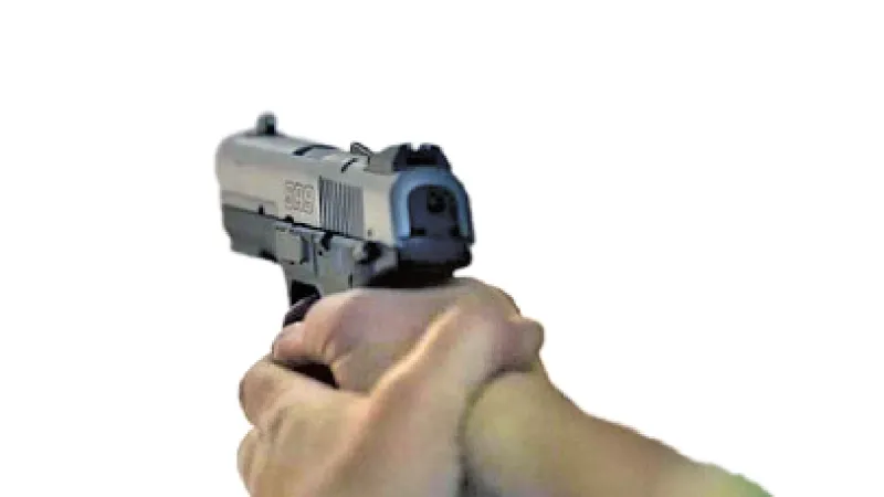 පාකිස්තානයේදී විදේශිකයන් කොල්ල කාලා