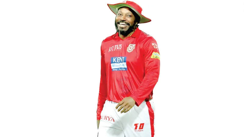 ගේල් ජෛව බුබුළෙන් පනී