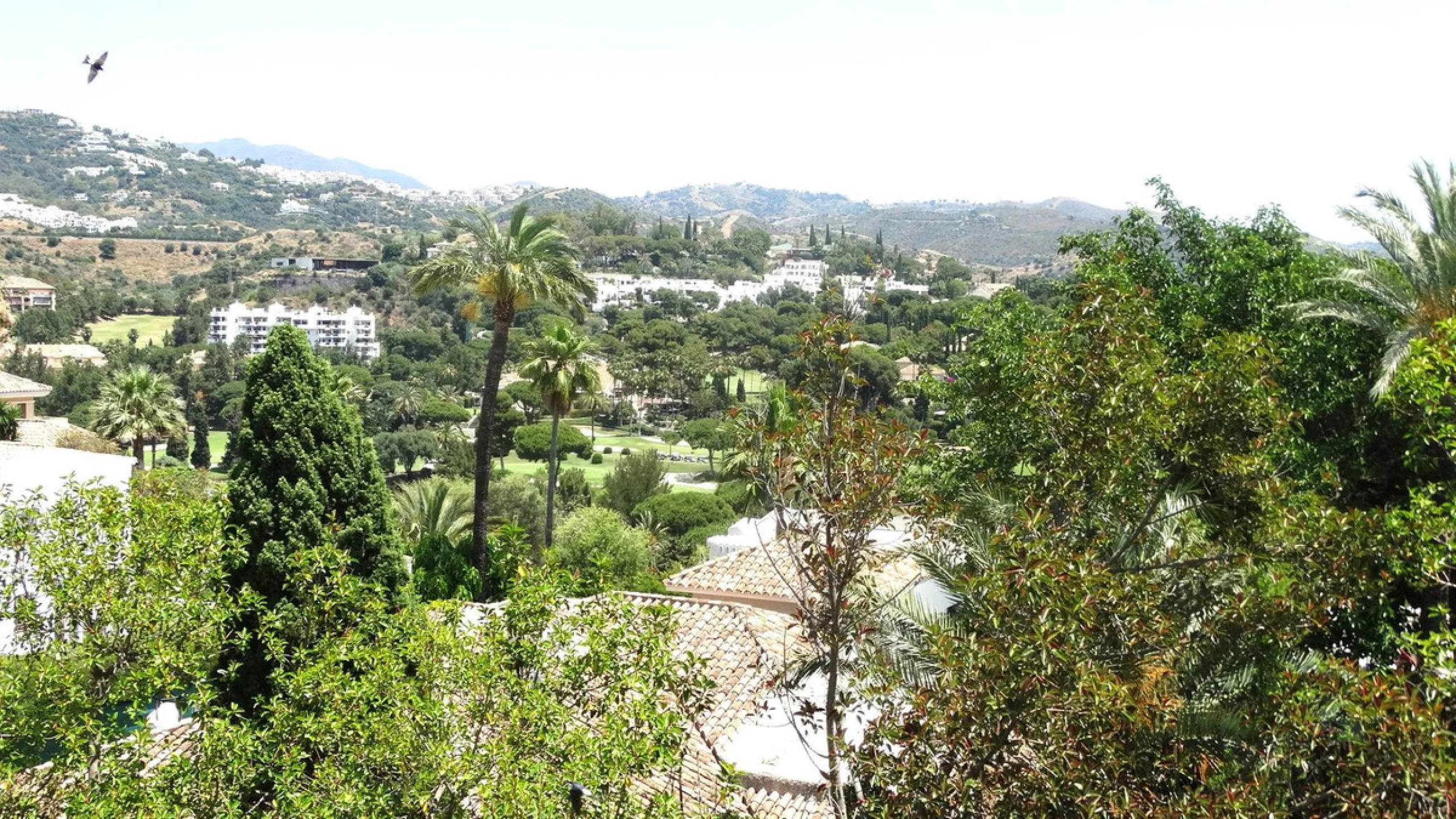 Magnificent opportunity to acquire two penthouses together.