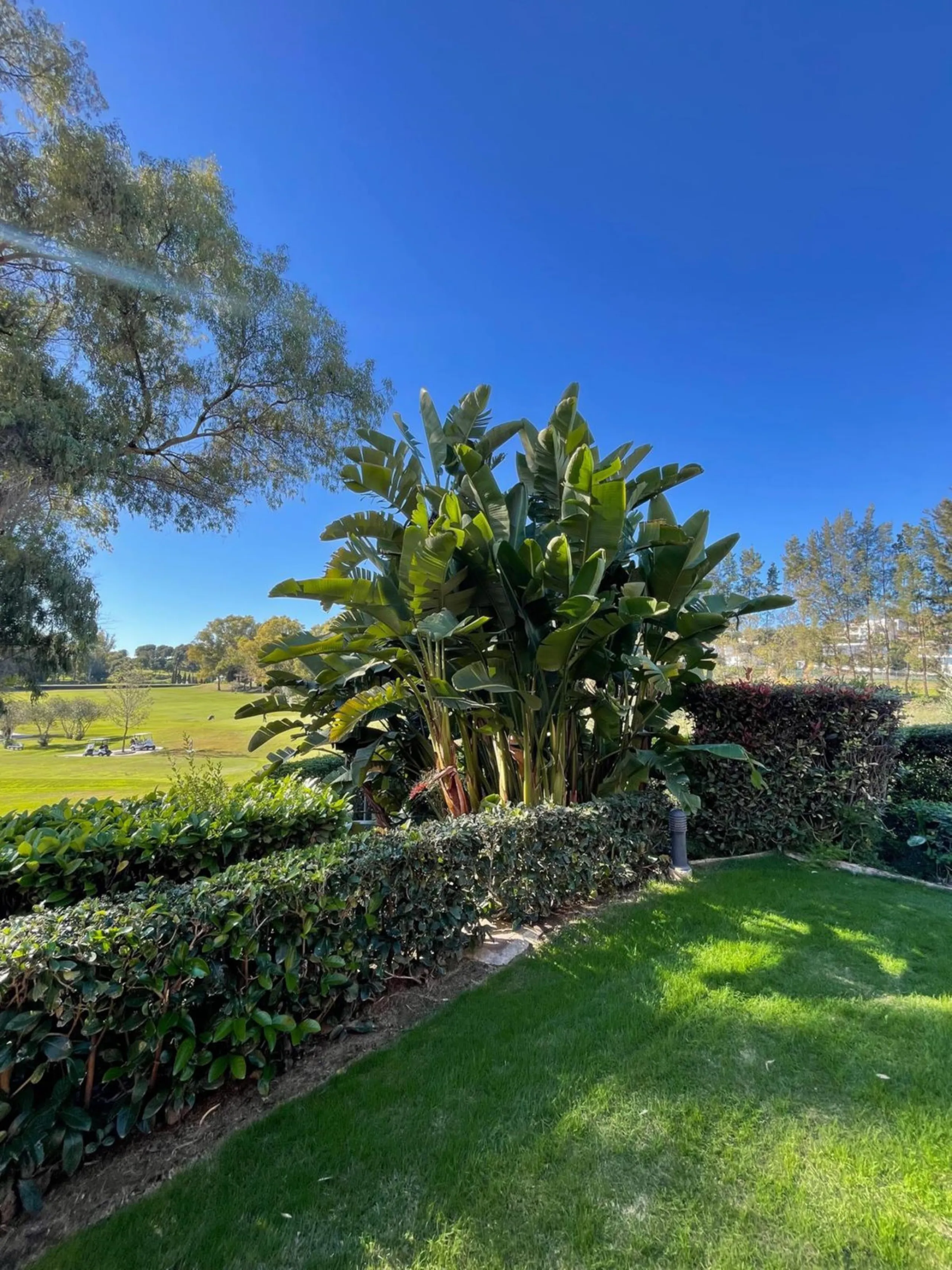 Presenting an elegant, recently built apartment located in the prestigious Benatalaya development, in the eastern area of Estepona, Málaga. Boasting a privileged frontline golf location and surrounded by all necessary amenities, this property stands out f