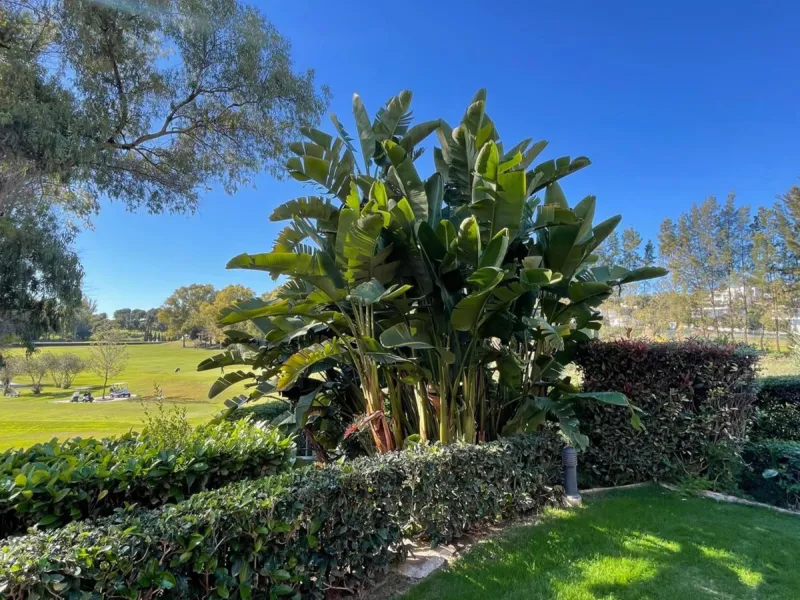 Presenting an elegant, recently built apartment located in the prestigious Benatalaya development, in the eastern area of Estepona, Málaga. Boasting a privileged frontline golf location and surrounded by all necessary amenities, this property stands out f