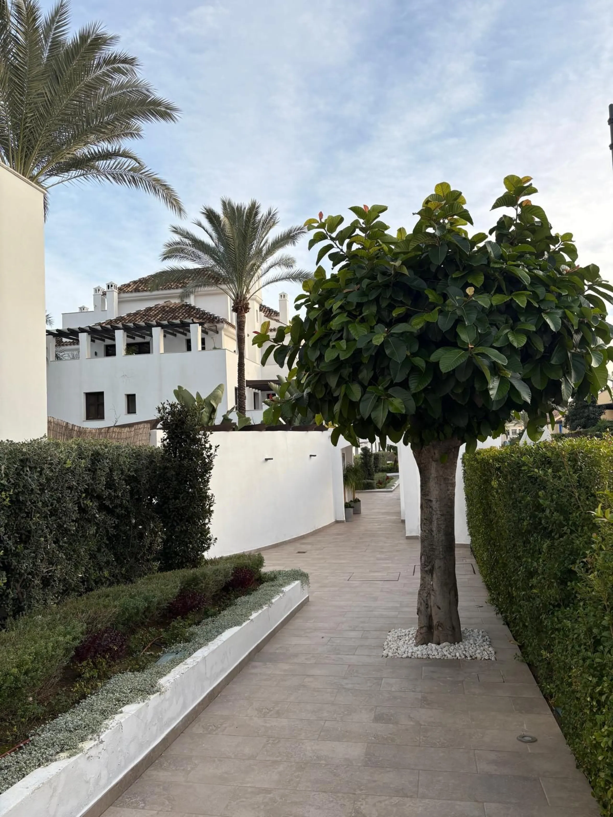 Apartment - Ground Floor Apartment в продаже в Marbella, Málaga. В доме 2 спален и 2 ванных комнат. Площадь дома 141 м²