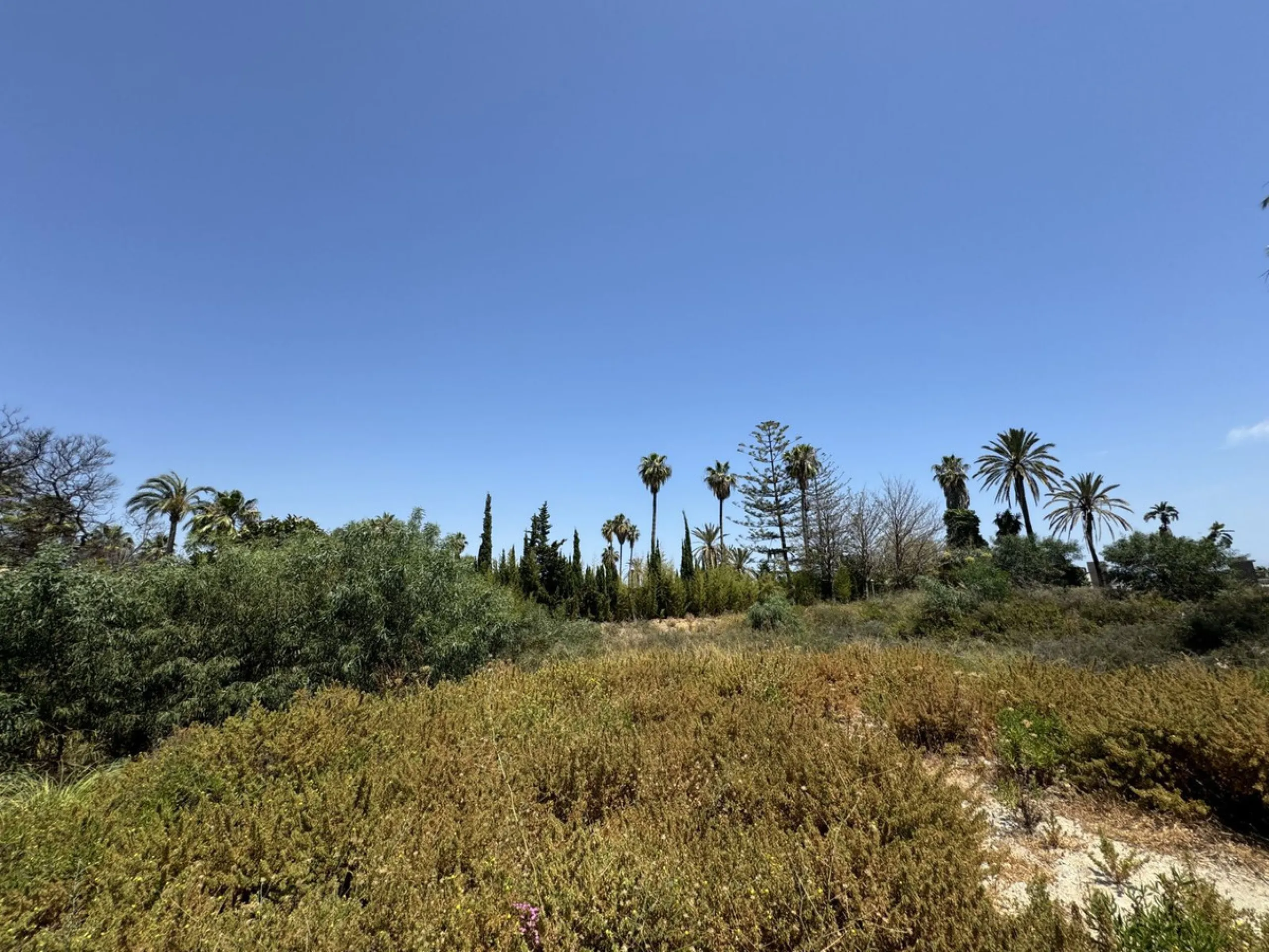 COIN, MALAGA... INVESTORS AND BUILDERS ATTENTION! Large plot of land located in the town of Coín.