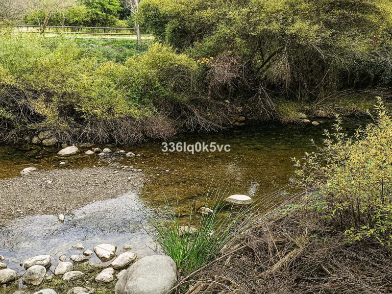 Discover this characterful, traditional Spanish-style villa in an exceptional location in Benahavís, set right beside the river. The villa offers five spacious bedrooms and three bathrooms, making it ideal for those looking for a generous family home or a