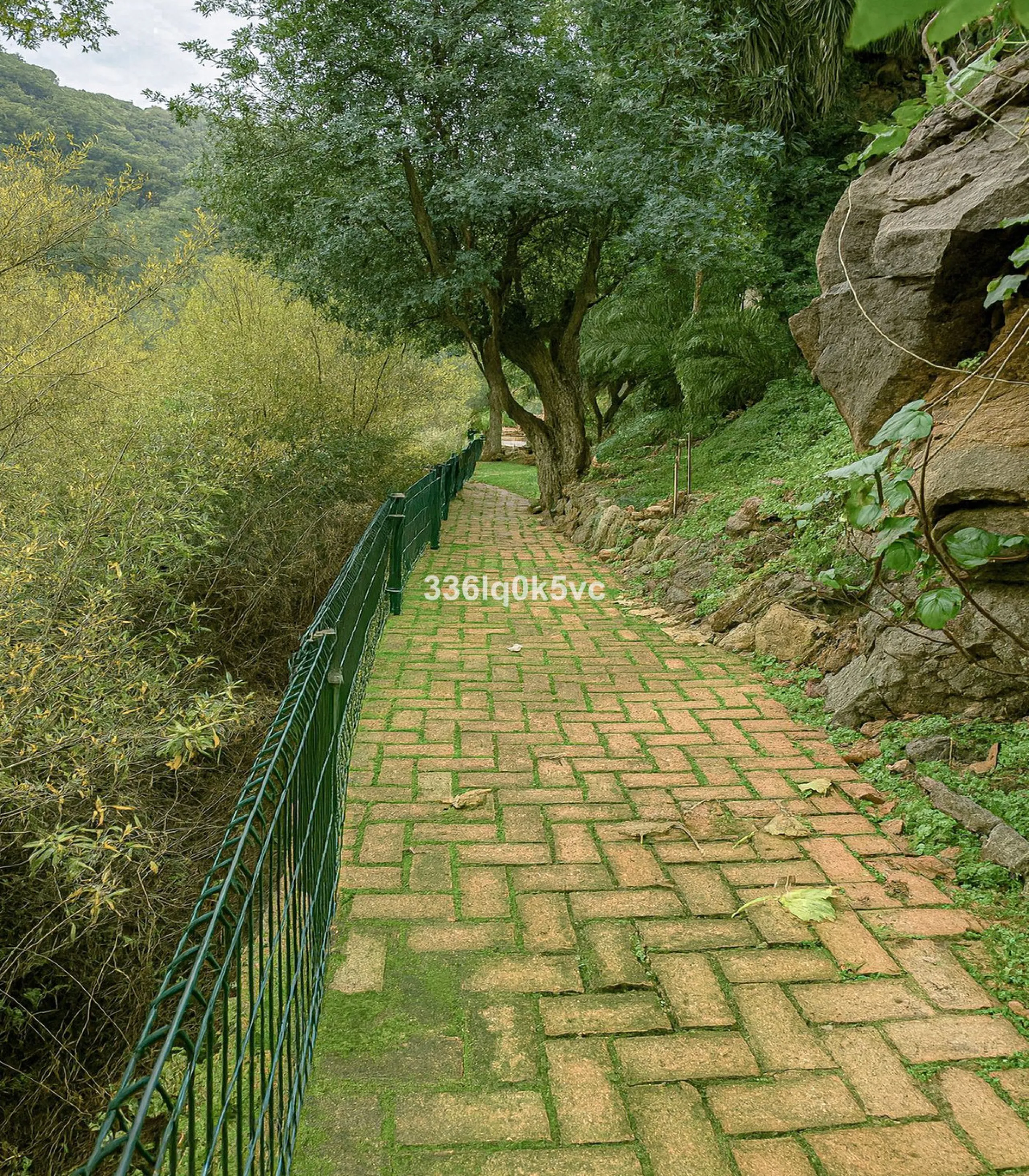 Discover this characterful, traditional Spanish-style villa in an exceptional location in Benahavís, set right beside the river. The villa offers five spacious bedrooms and three bathrooms, making it ideal for those looking for a generous family home or a