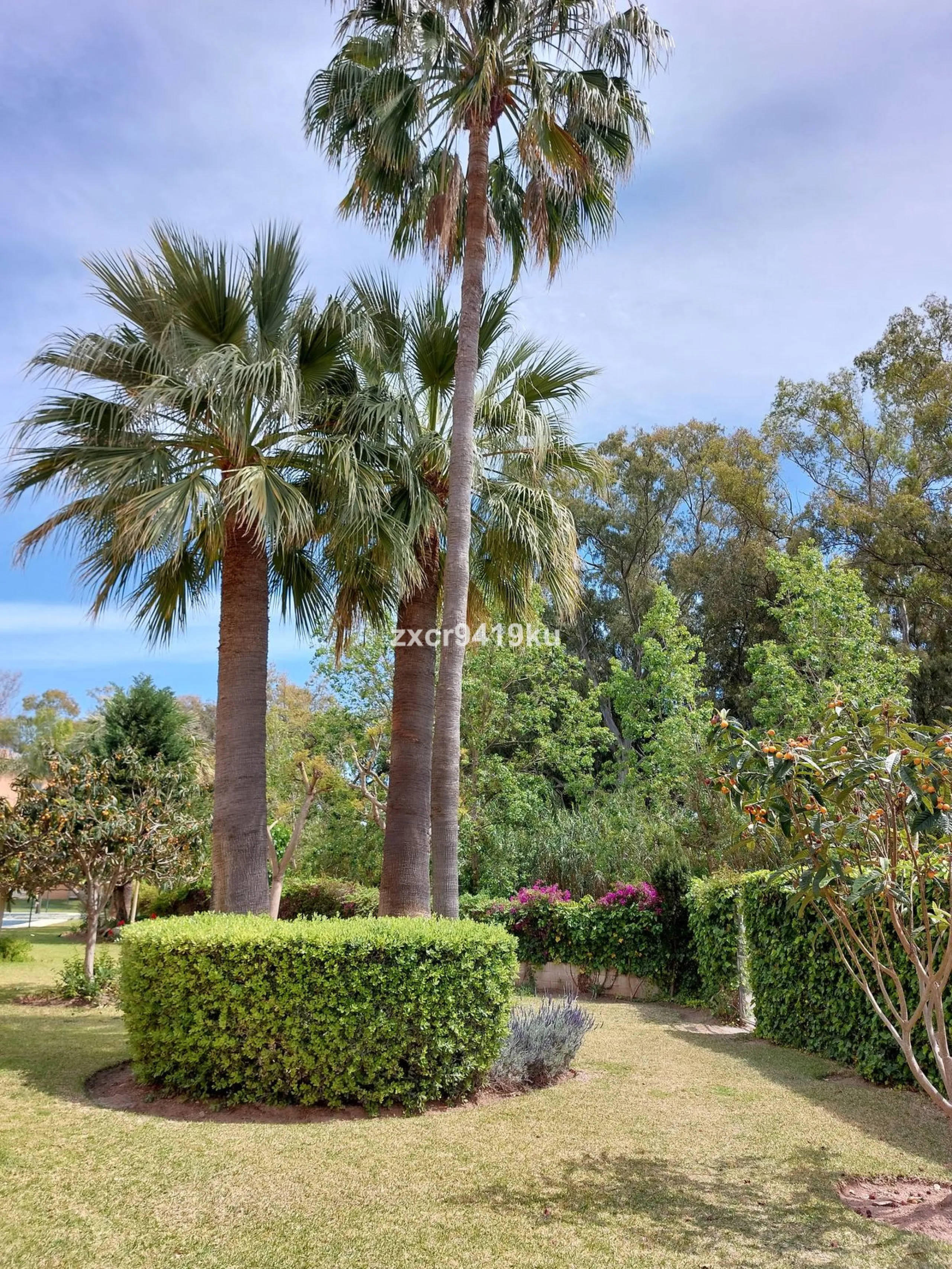 Apartment - Ground Floor Apartment в продаже в Marbella, Málaga. В доме 3 спален и 2 ванных комнат. Площадь дома 87 м². Площадь участка 58 м²