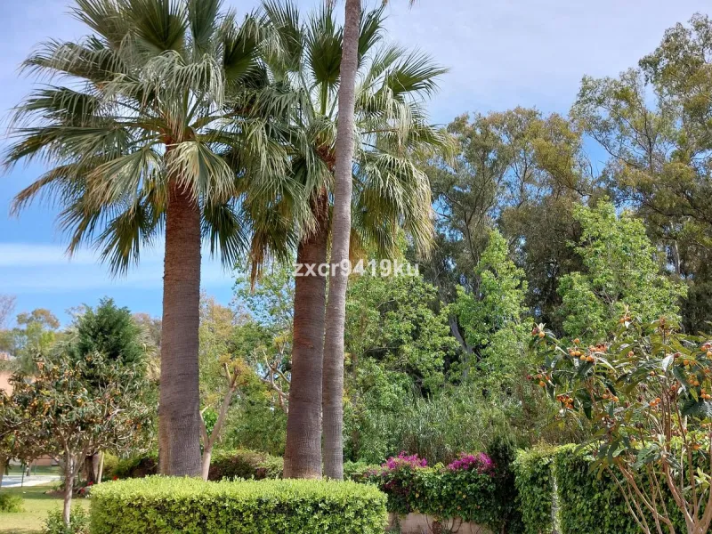 Apartment - Ground Floor Apartment в продаже в Marbella, Málaga. В доме 3 спален и 2 ванных комнат. Площадь дома 87 м². Площадь участка 58 м²