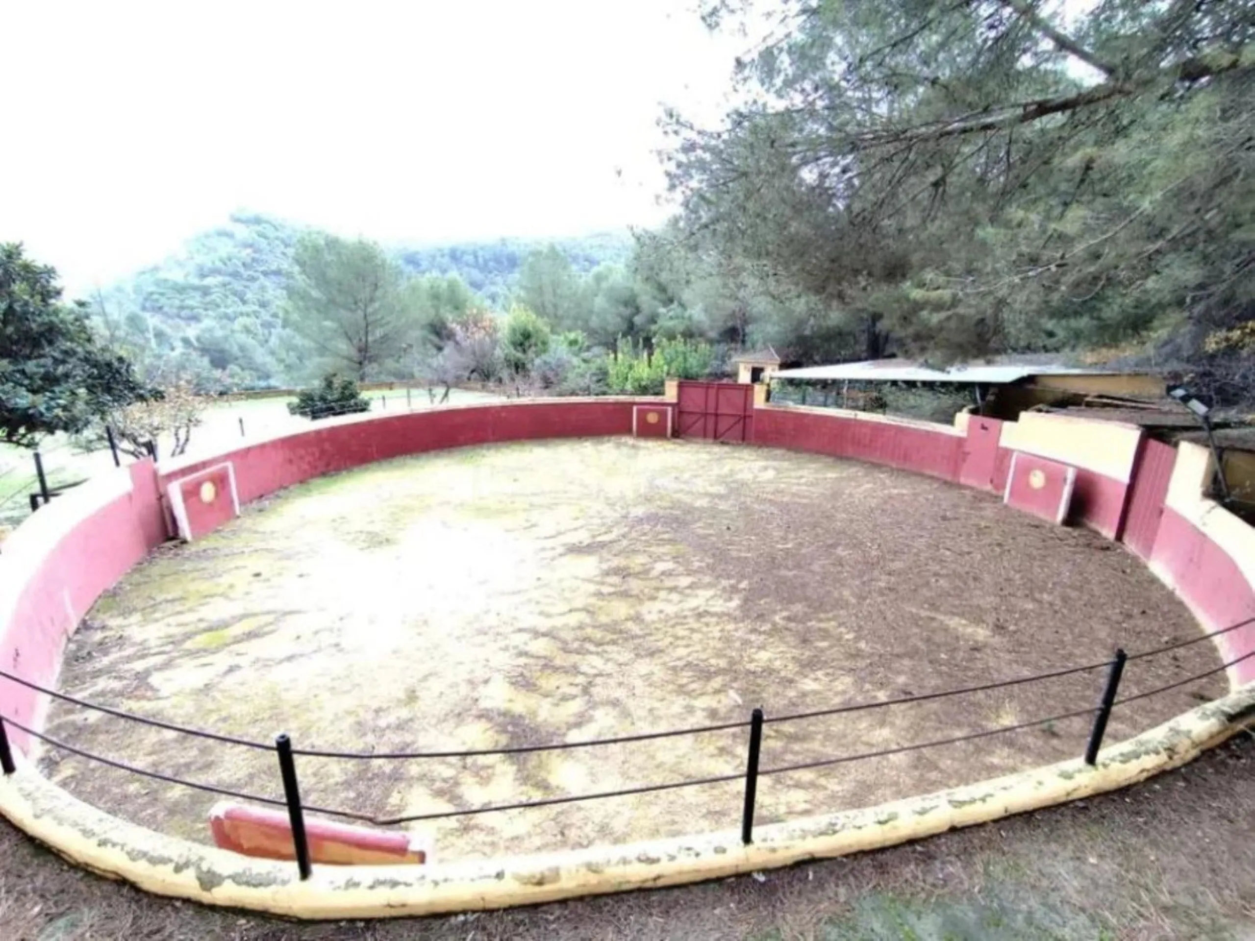 Very special countryside estate located just 15 minutes from Marbella, on the road that connects Marbella with Ojén and Monda.