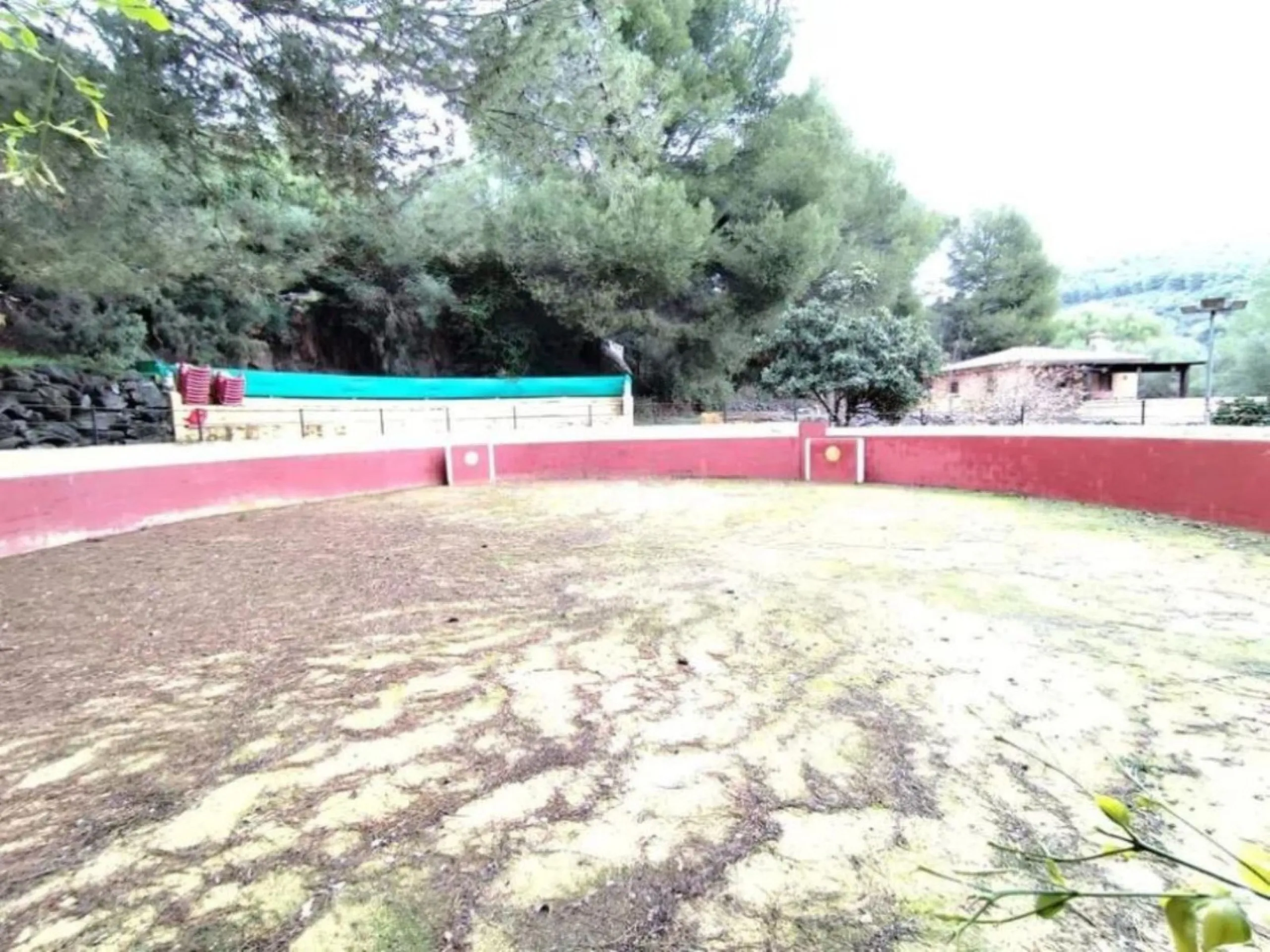 Very special countryside estate located just 15 minutes from Marbella, on the road that connects Marbella with Ojén and Monda.
