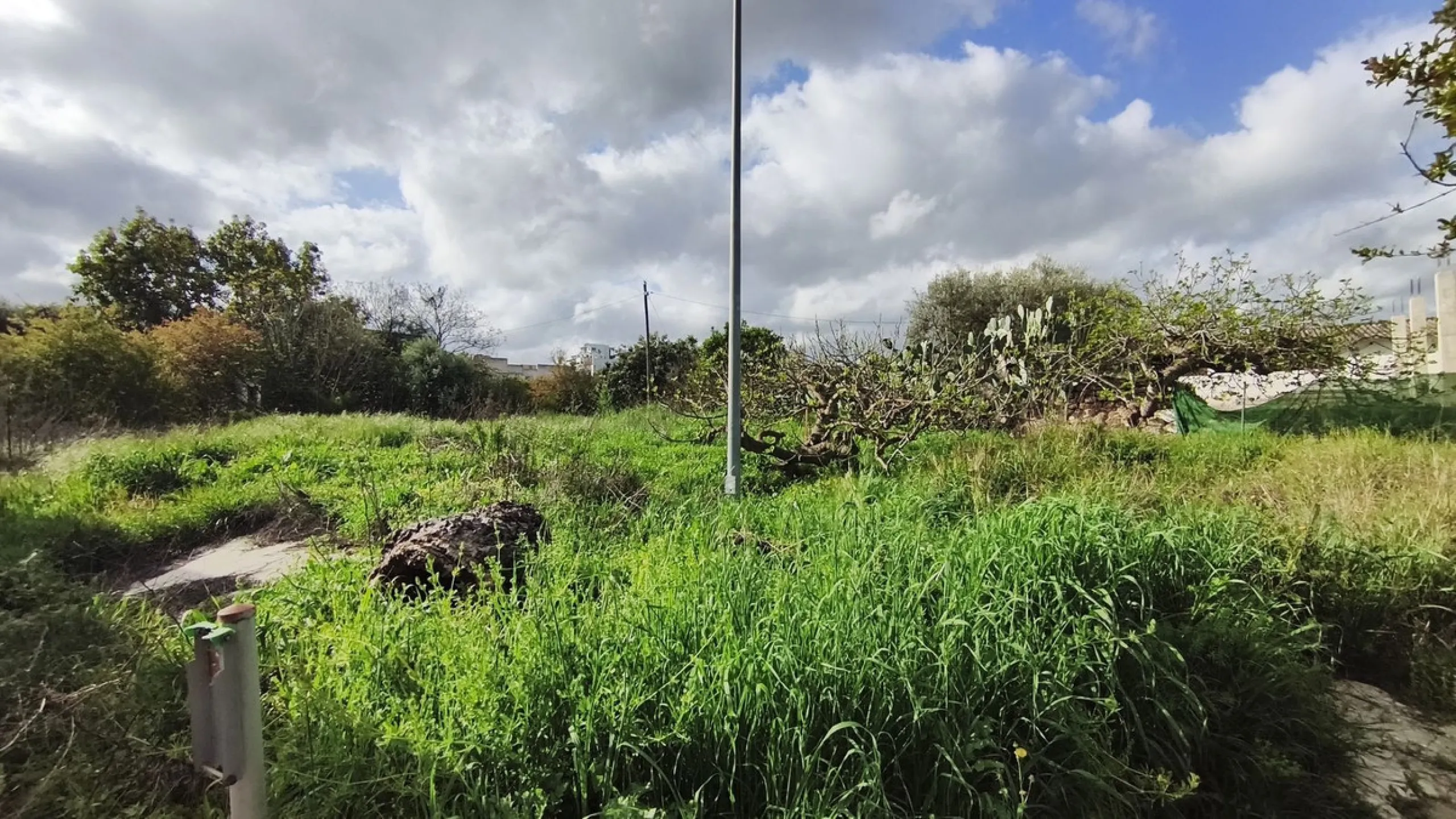 Plot - Commercial Plot в продаже в Coín, Málaga. Площадь участка 2468 м²
