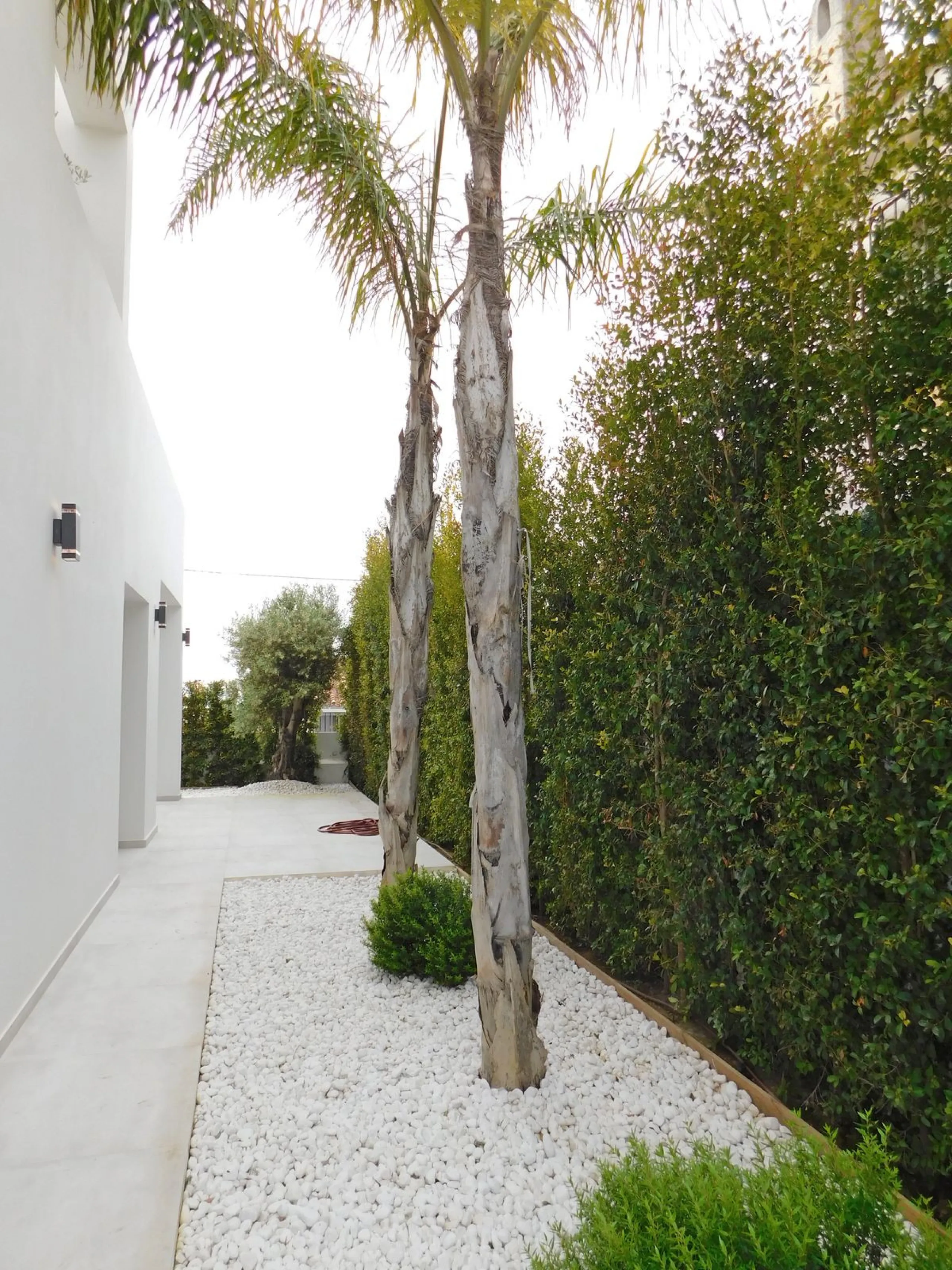 In an exceptional location, just 280 metres from the sea and the new El Chaparral promenade, you will find this impressive modern villa with truly fantastic panoramic sea views – a rarity at such a short distance from the coast.