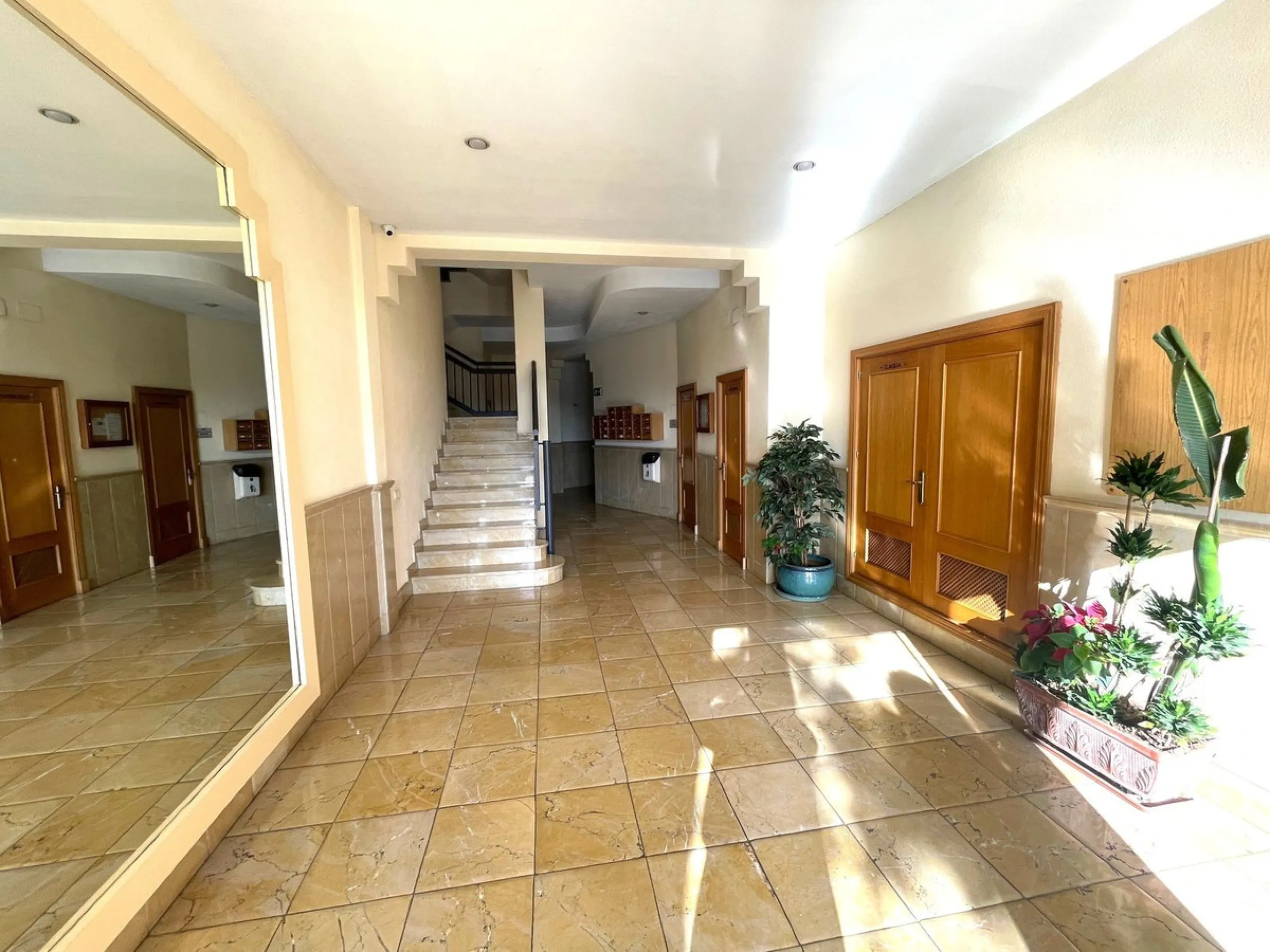 This wonderful apartment in the heart of San Pedro center combines comfort, style, and an unbeatable location. It is in perfect condition and ready to move in, offering a spacious living room with access to a terrace with open views of the mountains and t