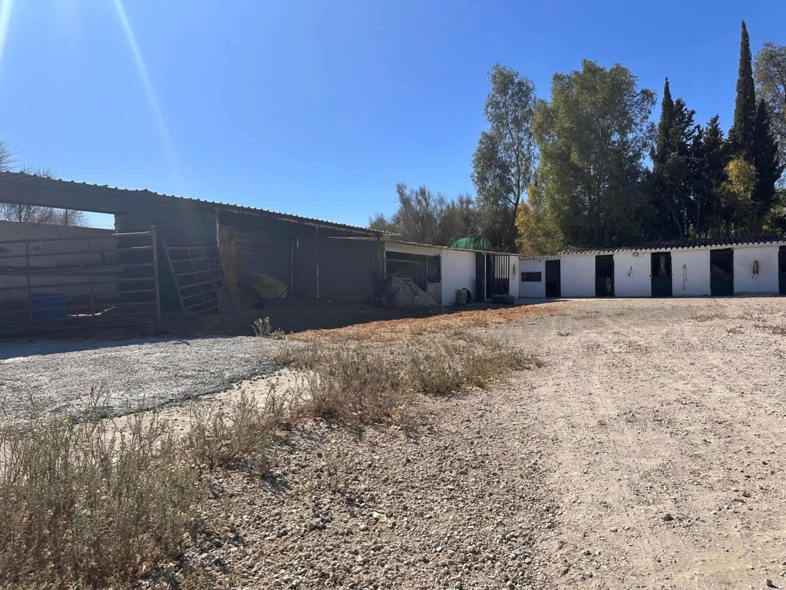 House - Finca - Cortijo в продаже в Cártama, Málaga. В доме 13 спален и 6 ванных комнат. Площадь дома 172 м². Площадь участка 7348 м²