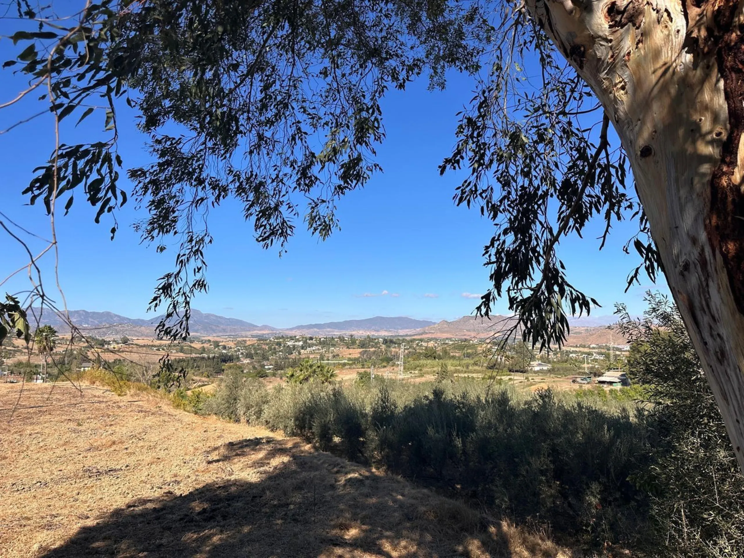 House - Finca - Cortijo в продаже в Cártama, Málaga. В доме 13 спален и 6 ванных комнат. Площадь дома 172 м². Площадь участка 7348 м²