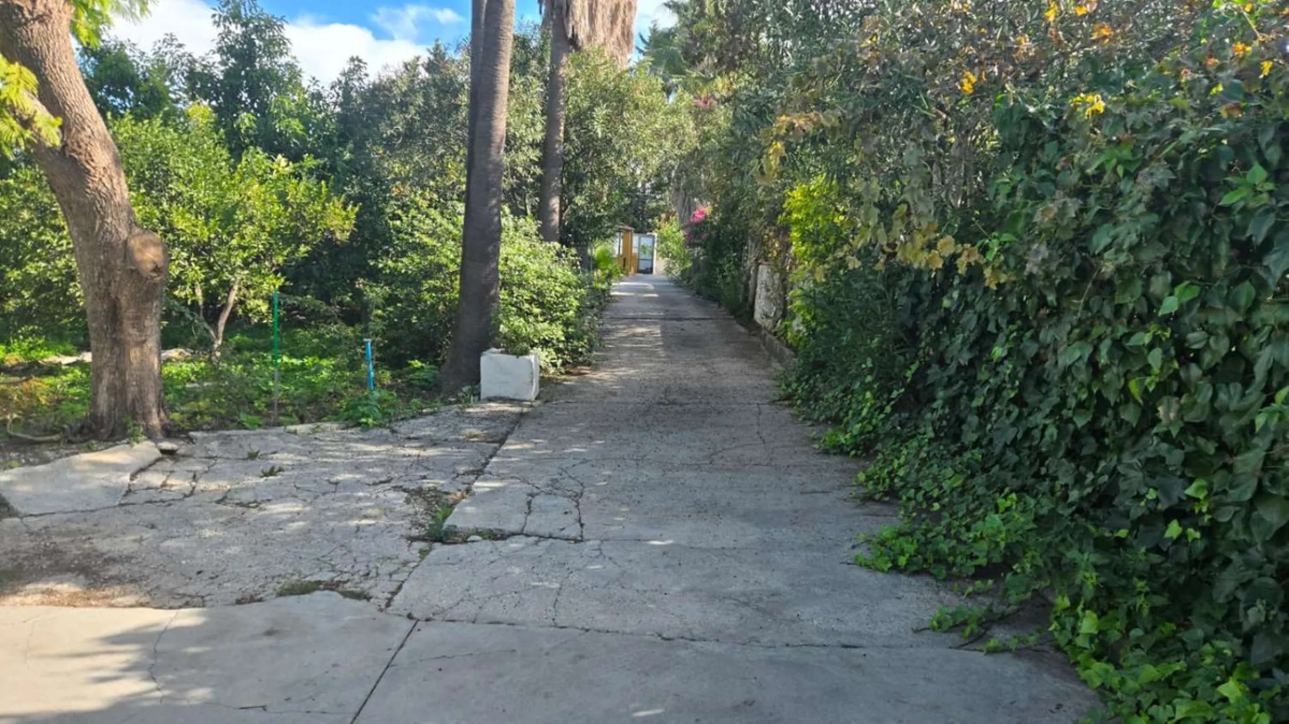 House - Detached Villa в продаже в Alhaurín de la Torre, Málaga. В доме 6 спален и 4 ванных комнат. Площадь дома 400 м². Площадь участка 4000 м²